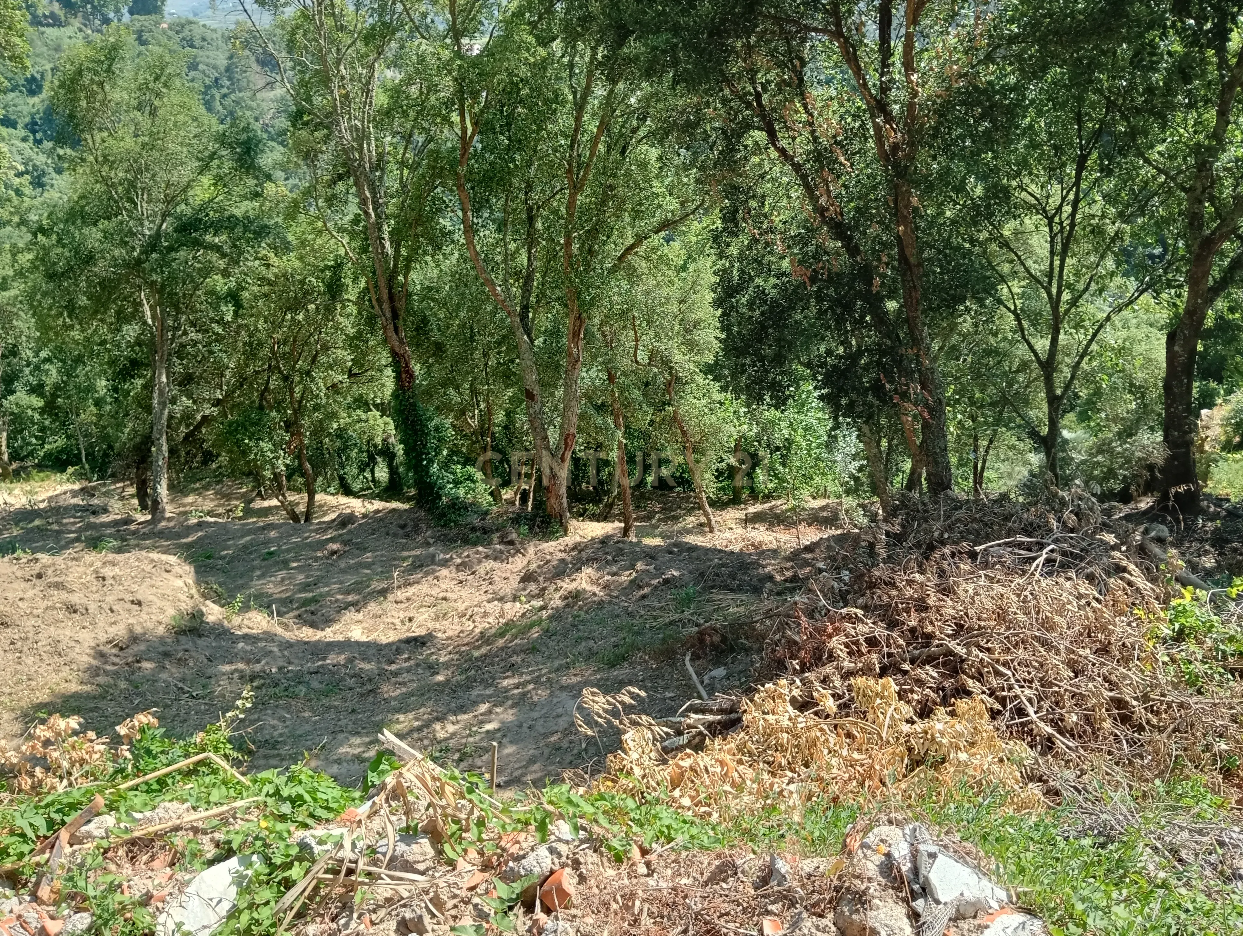 Moradia T2 à venda em Frende, Baião — foto 31