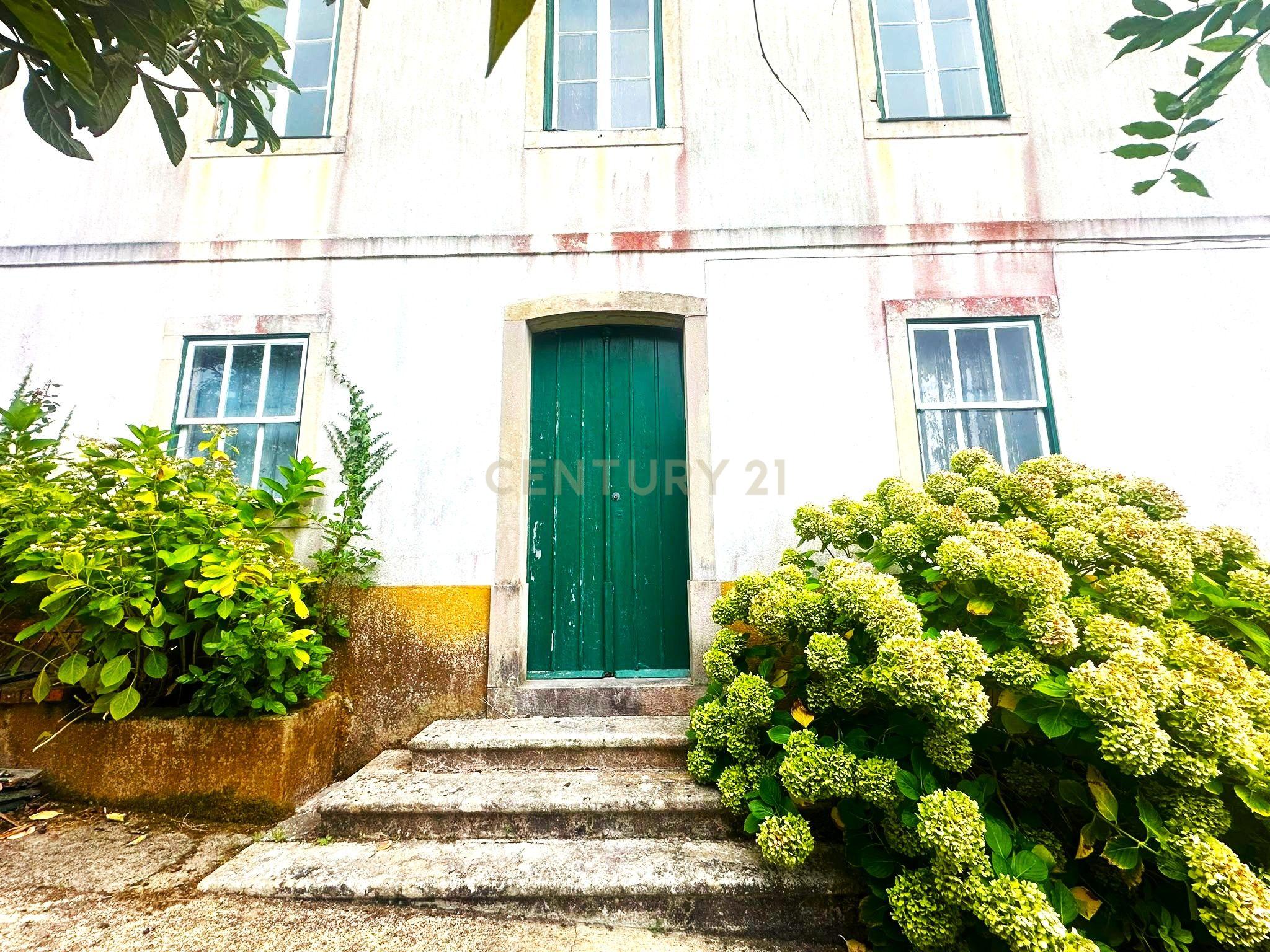 Fotografia 4 de Quinta Centenária em Abadia|Cortes, Leiria