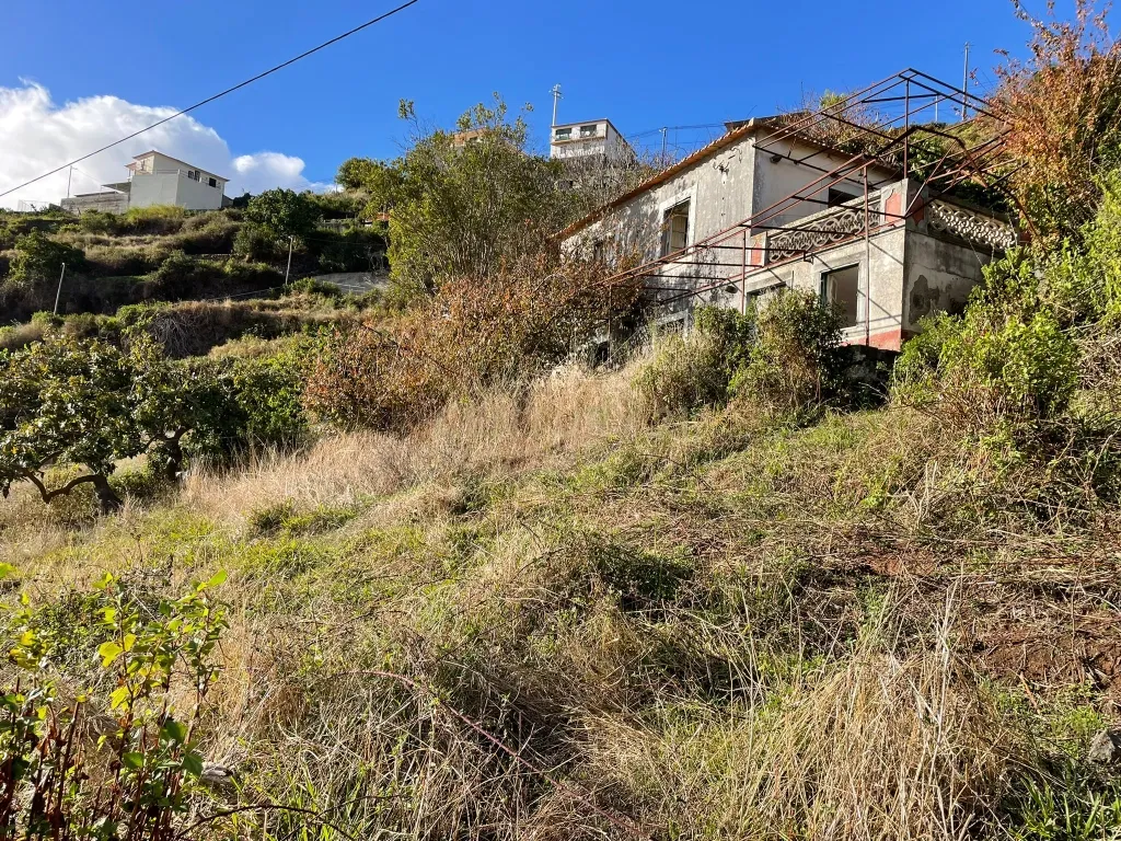 Moradia Antiga T2 (para recuperar) - Campanário - Ribeira Brava - Image 9