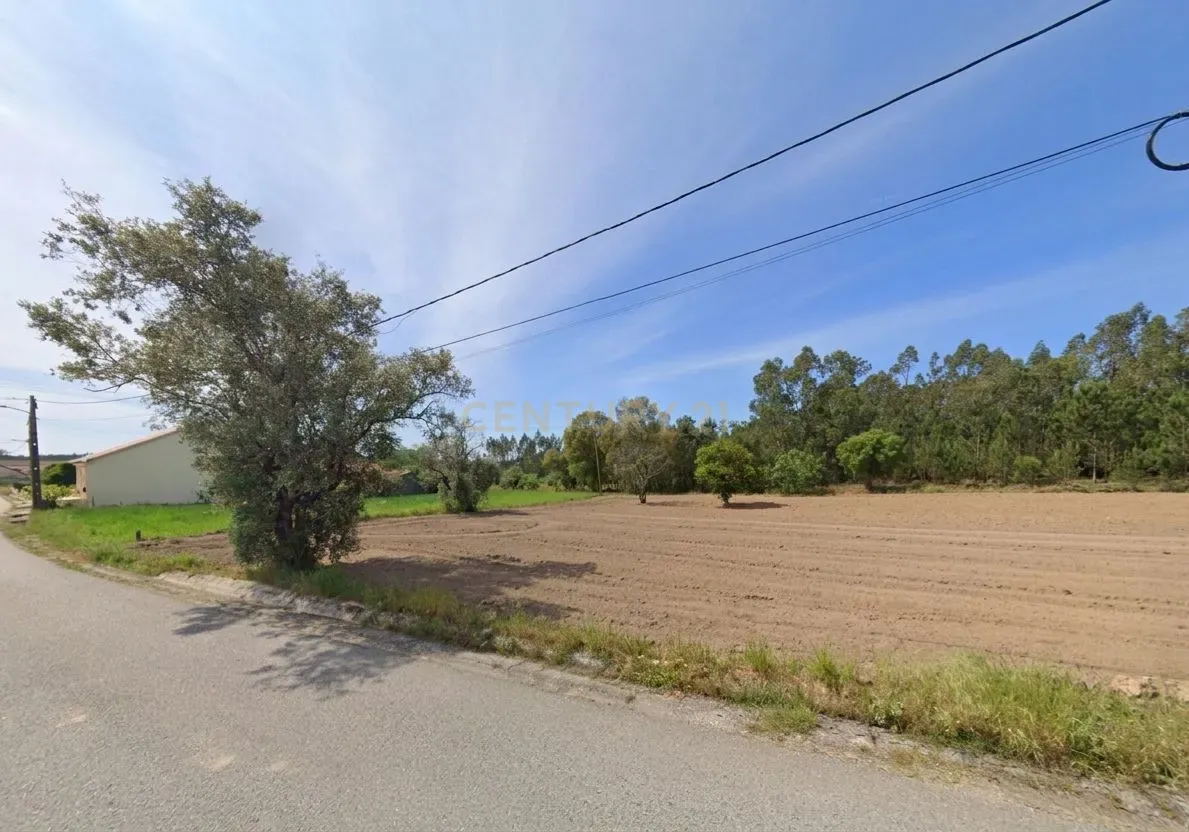 Fotografia 8 de Terreno Rústico com 2.040 m² em Paião – Figueira da Foz