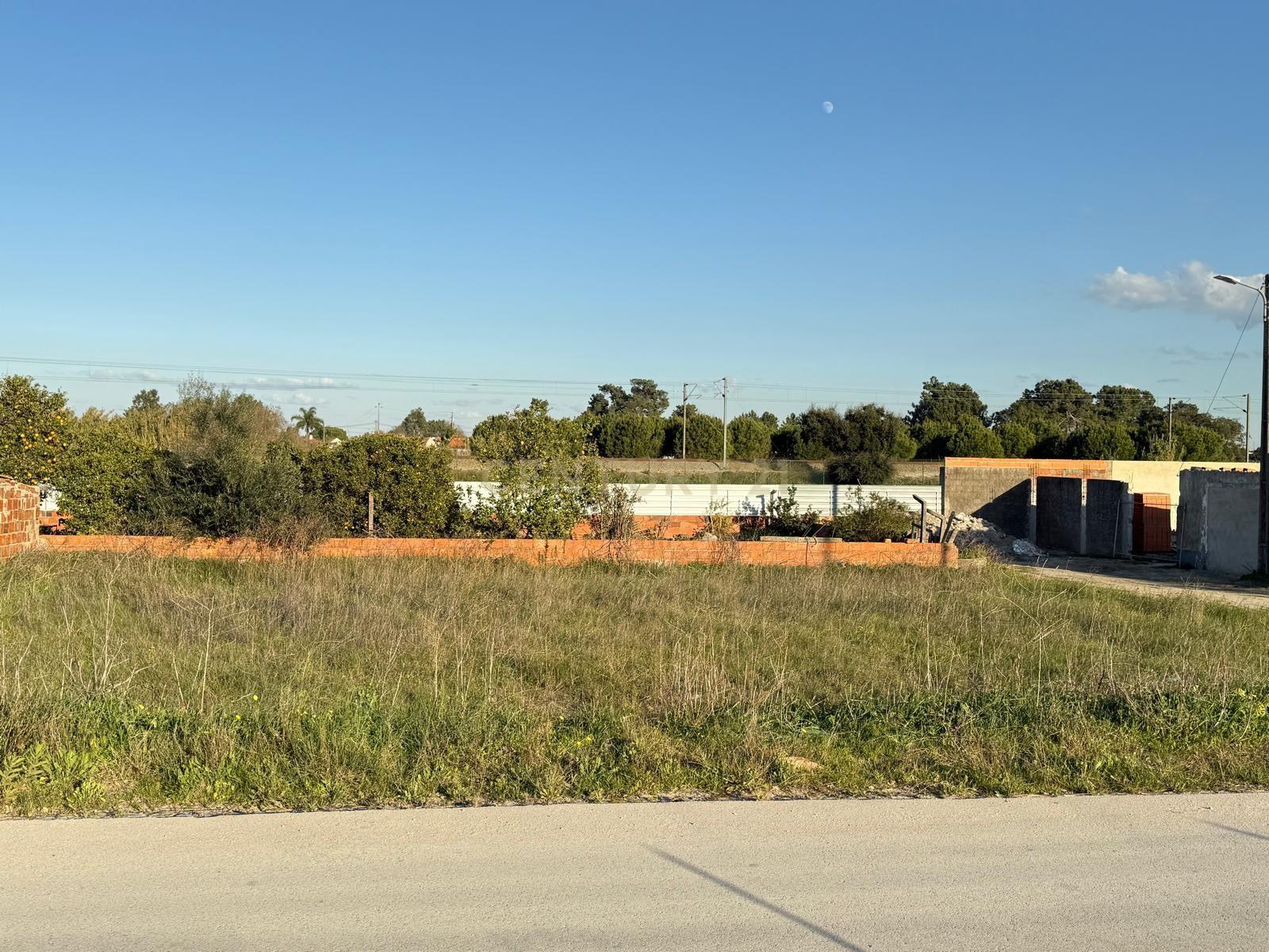Fotografia 8 de Terreno para Construção Próximo do Pinhal Novo