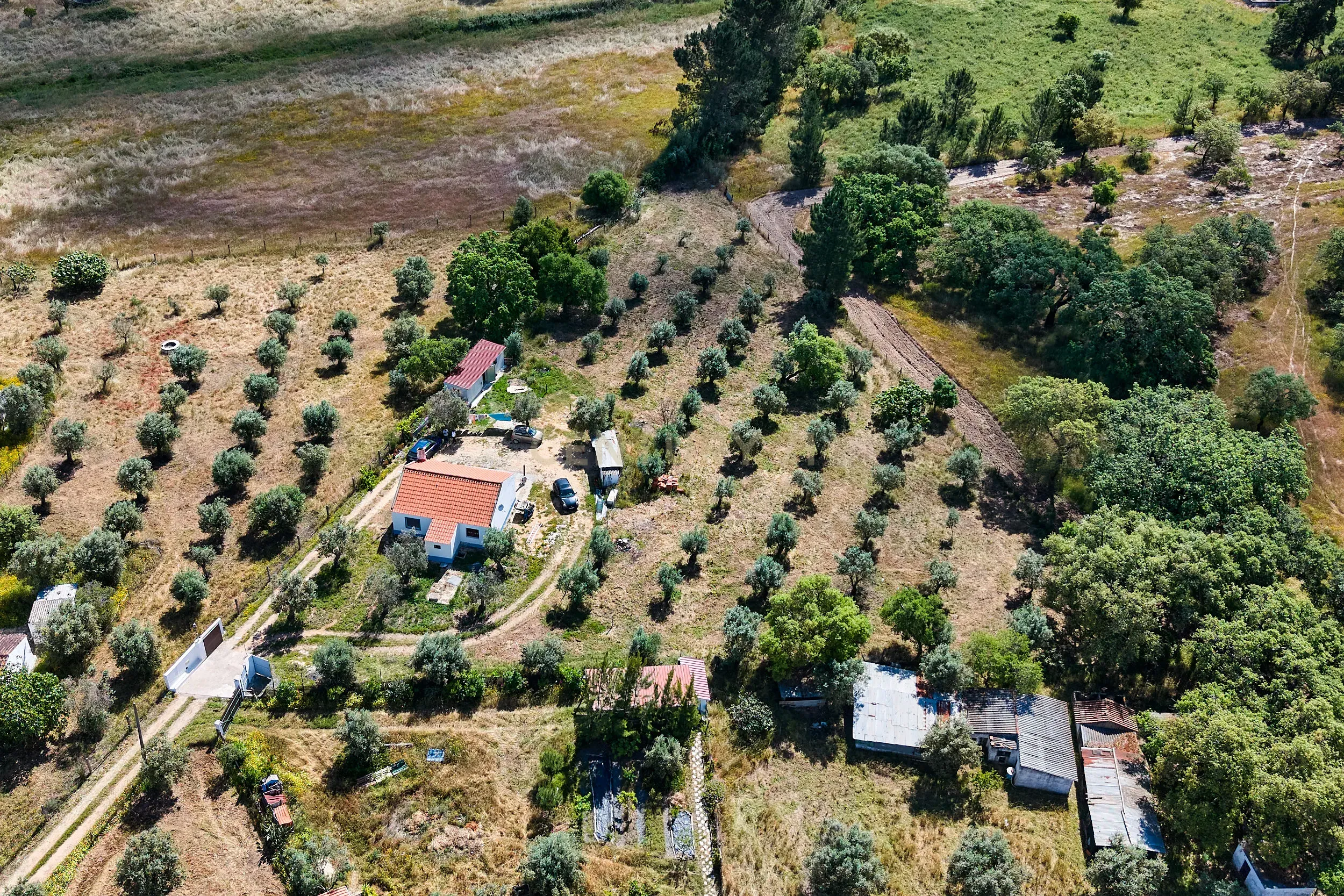 Viva o autêntico Alentejo – Seu refúgio em Ermidas do Sado - Cova do Gato espera por si - Image 18