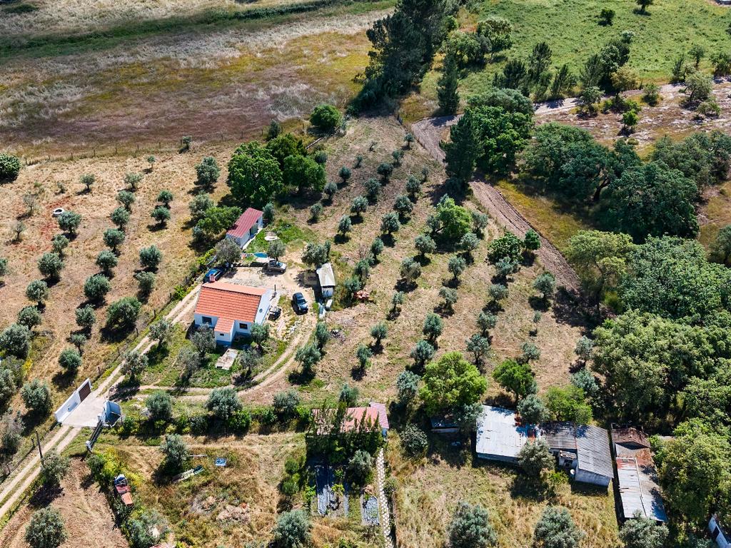 Viva o autêntico Alentejo – Seu refúgio em Ermidas do Sado - Cova do Gato espera por si - Image 18
