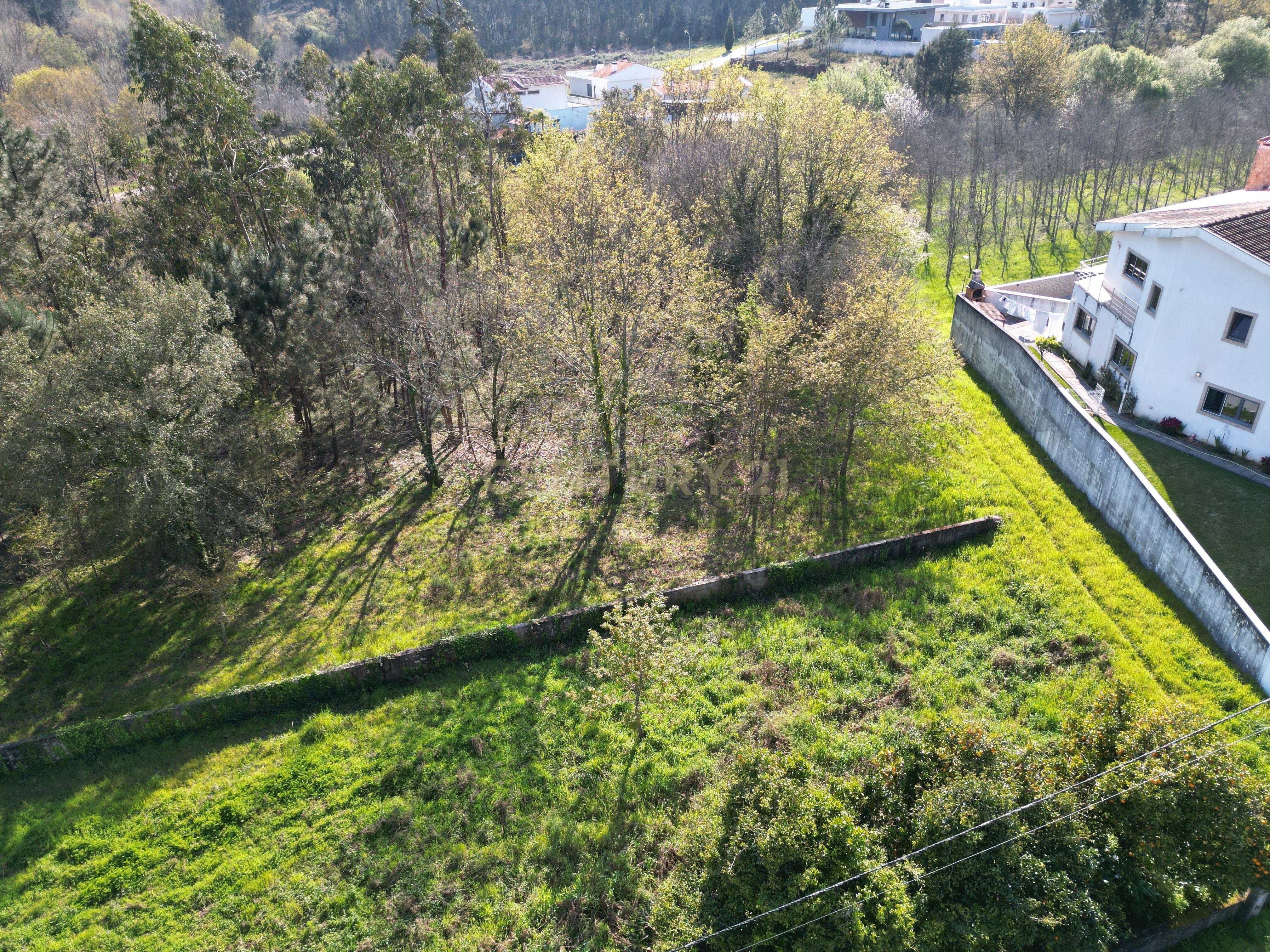 Terreno para construção em Vale das Figueiras, Águeda - Image 9