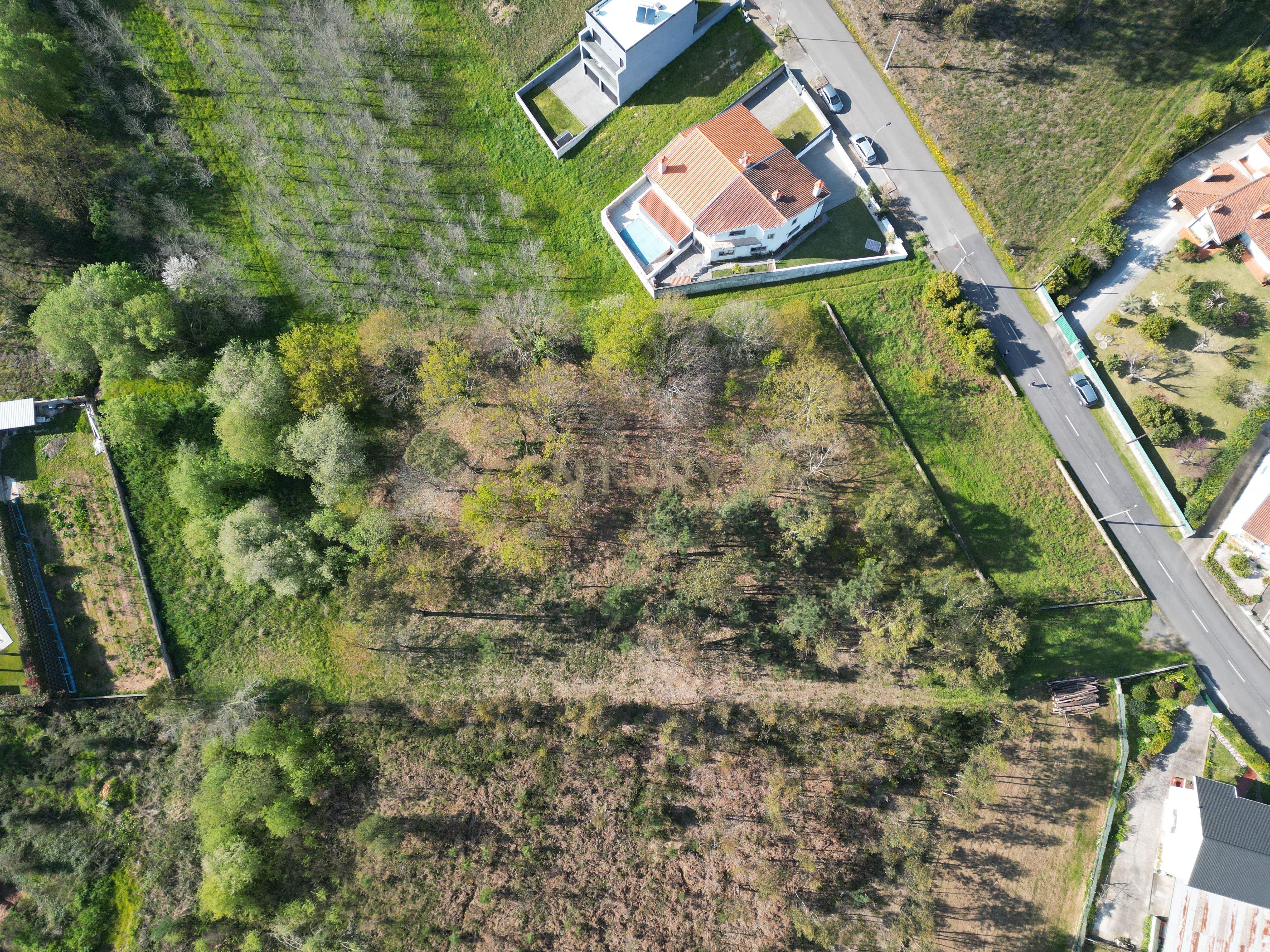 Terreno para construção em Vale das Figueiras, Águeda - Image 8