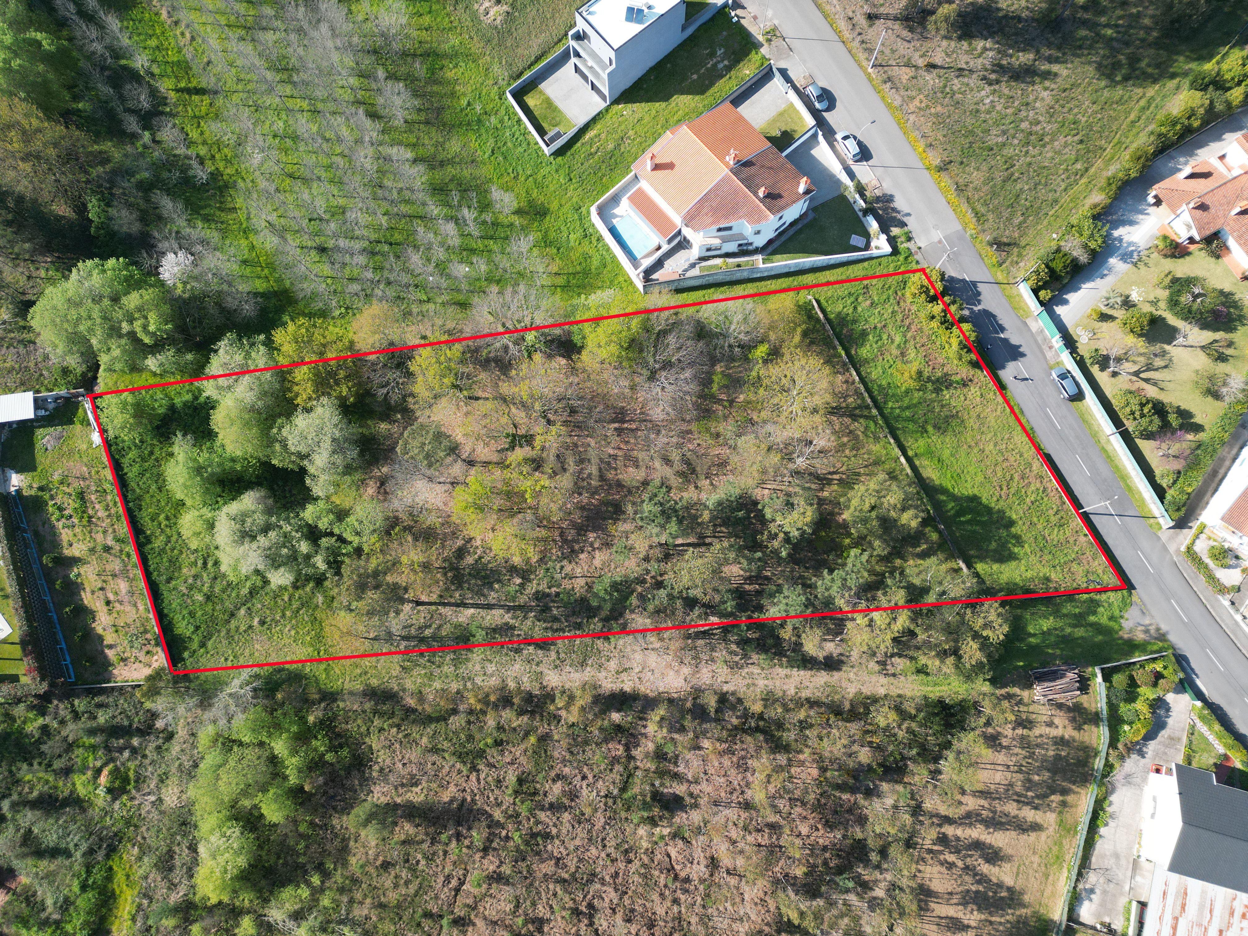 Terreno para construção em Vale das Figueiras, Águeda - Image 2
