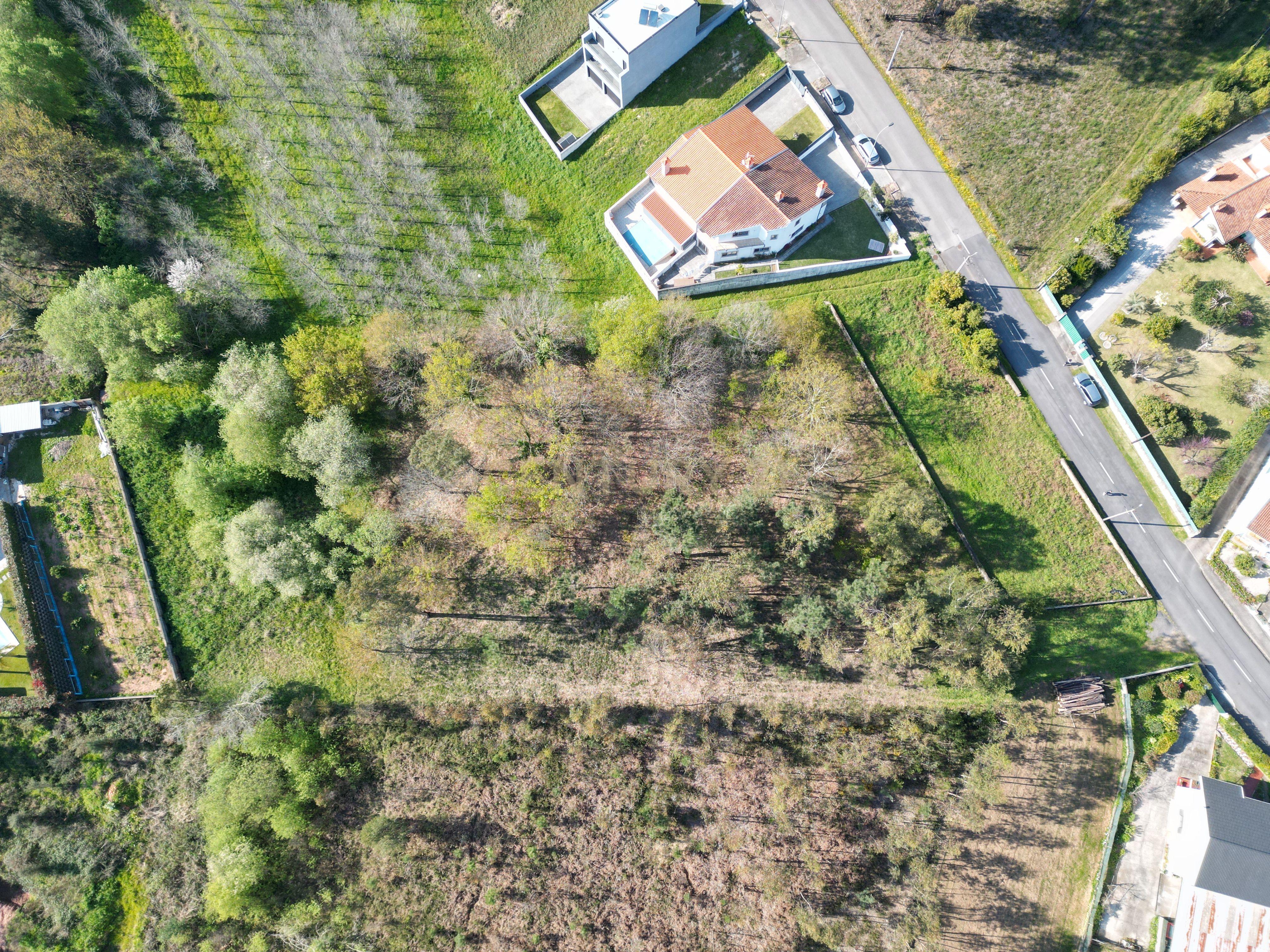 Terreno para construção em Vale das Figueiras, Águeda - Image 5