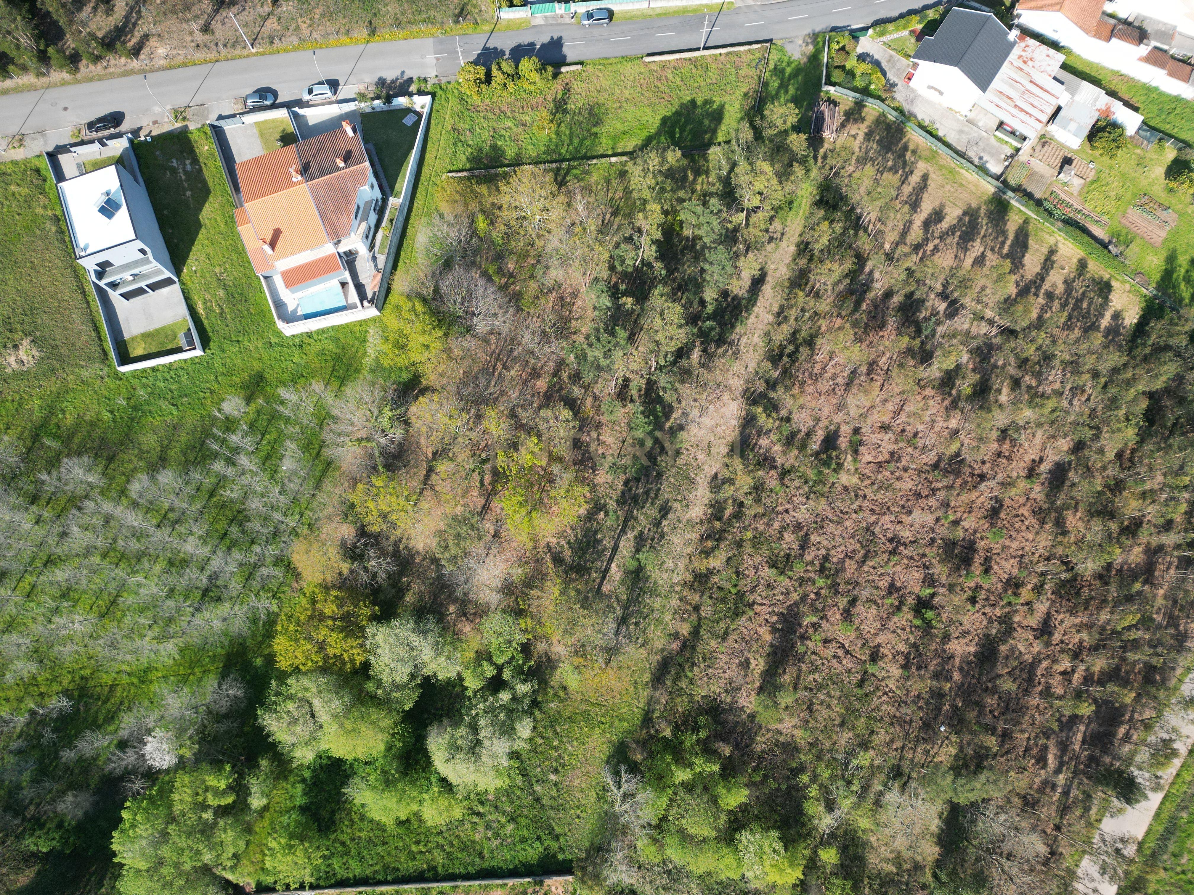 Terreno para construção em Vale das Figueiras, Águeda - Image 4