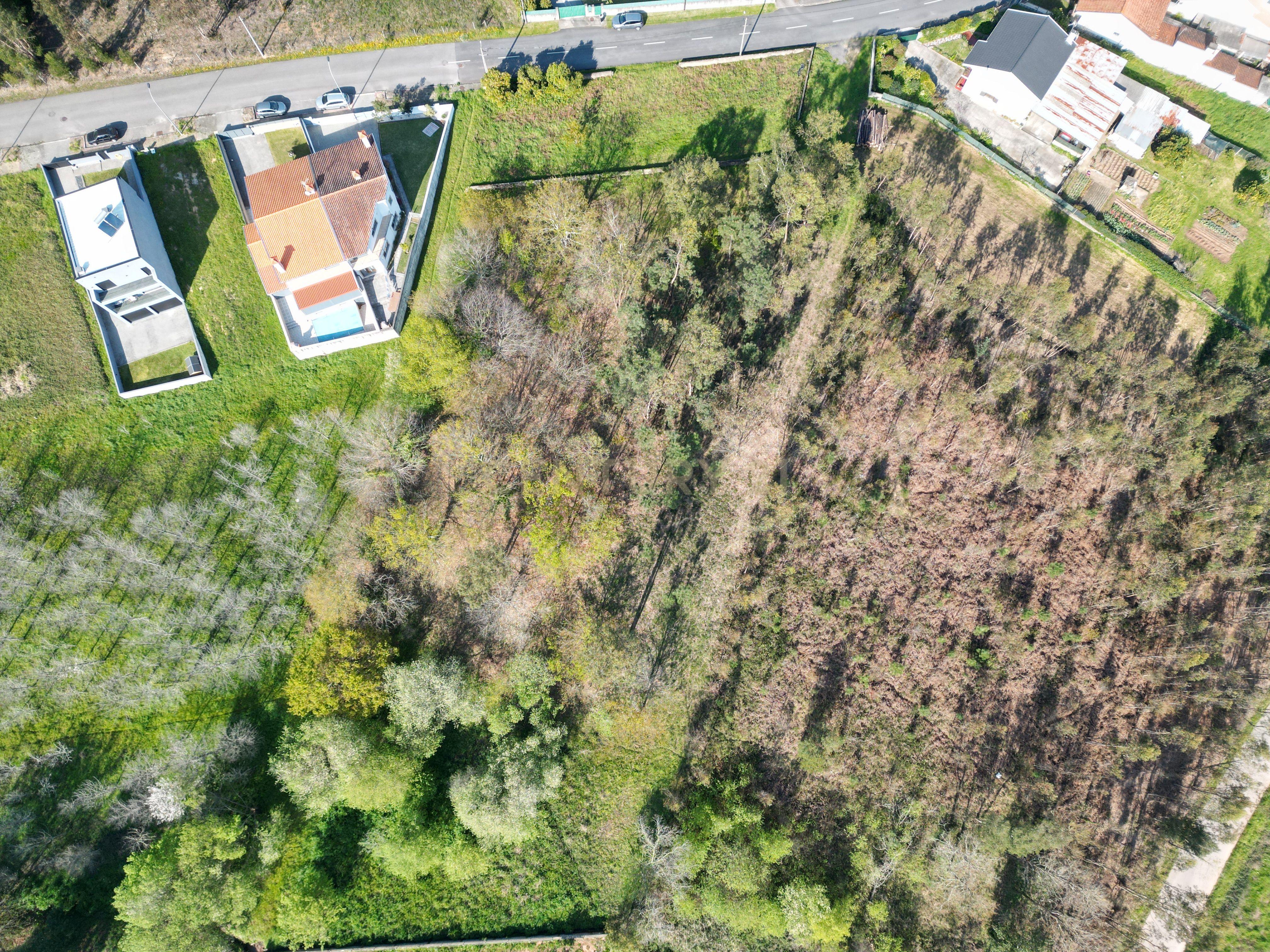 Terreno para construção em Vale das Figueiras, Águeda - Image 6