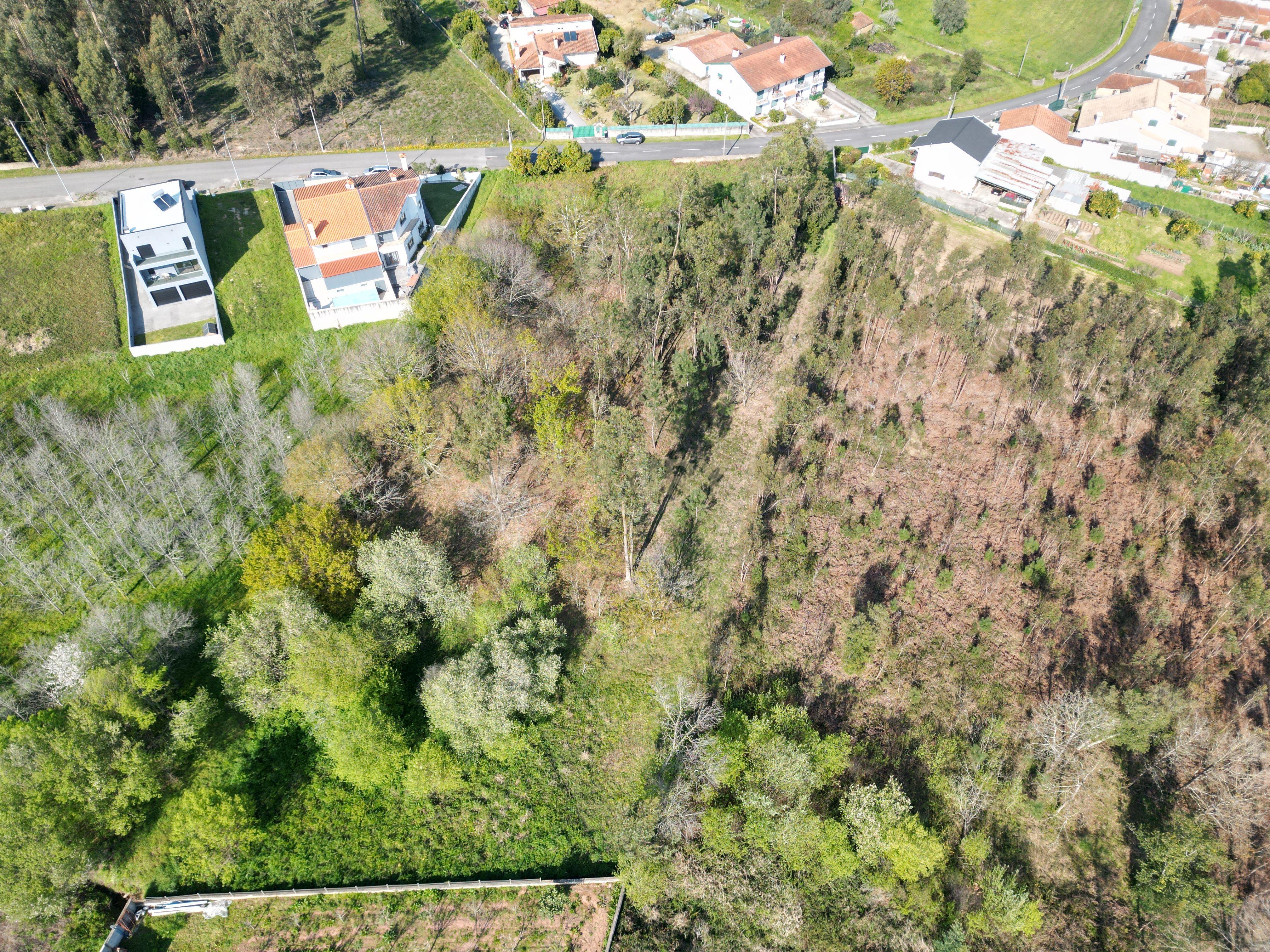 Terreno para construção em Vale das Figueiras, Águeda - Image 7