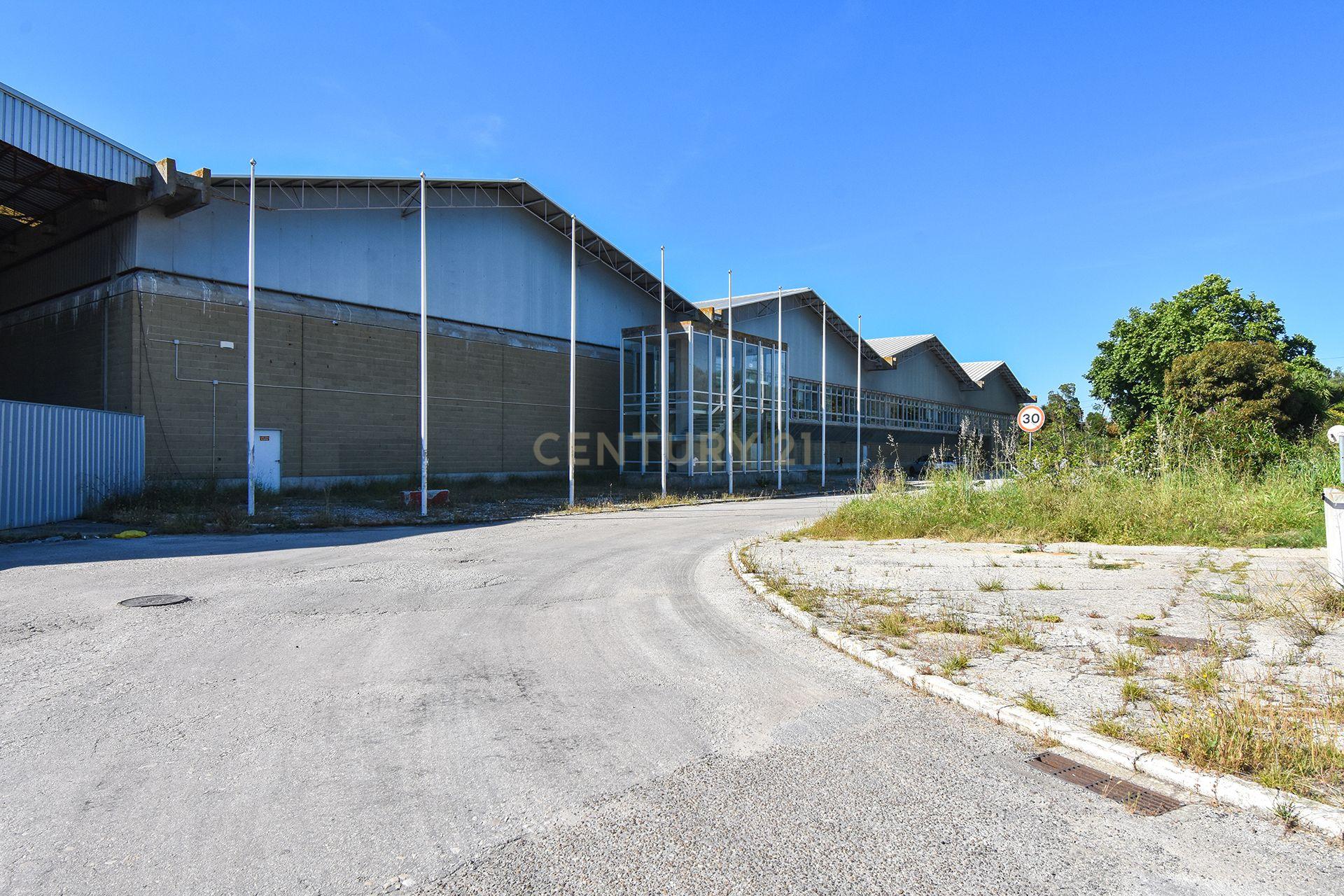 Armazém 10.000m2 Setúbal - Image 3
