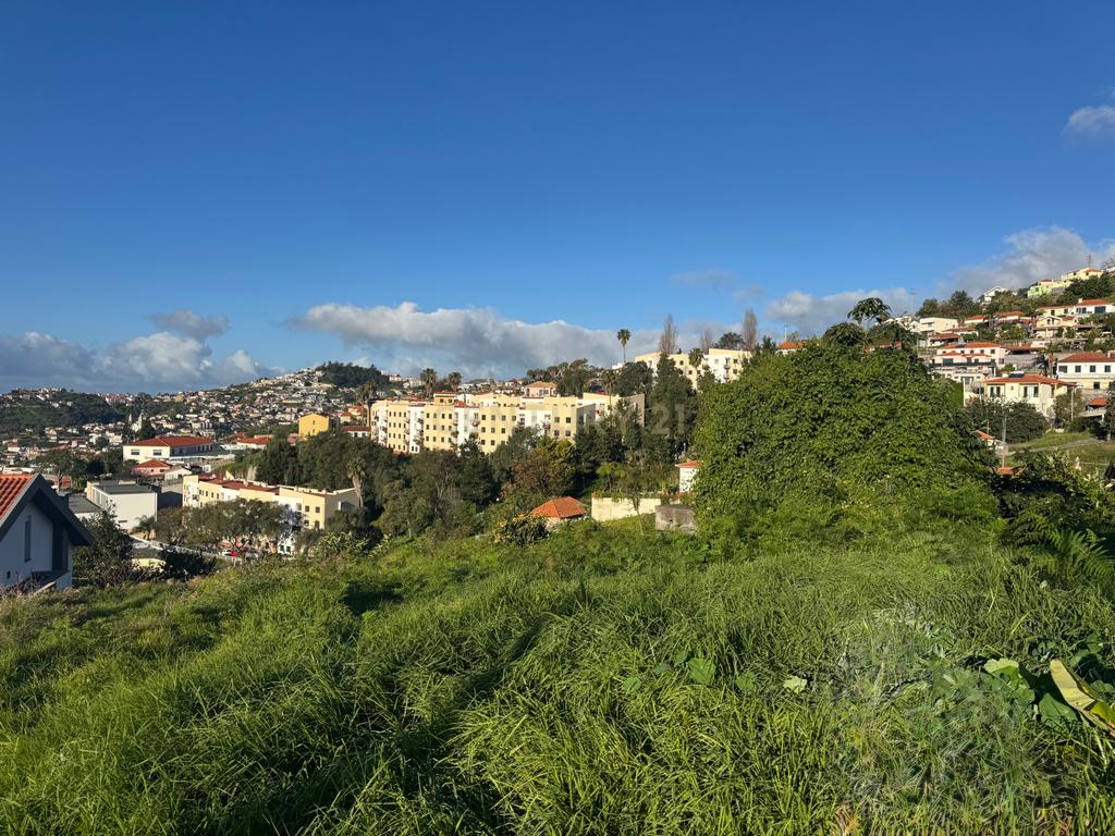 Terreno com Projeto Aprovado para Duas Moradias com Vista Panorâmica - Image 6