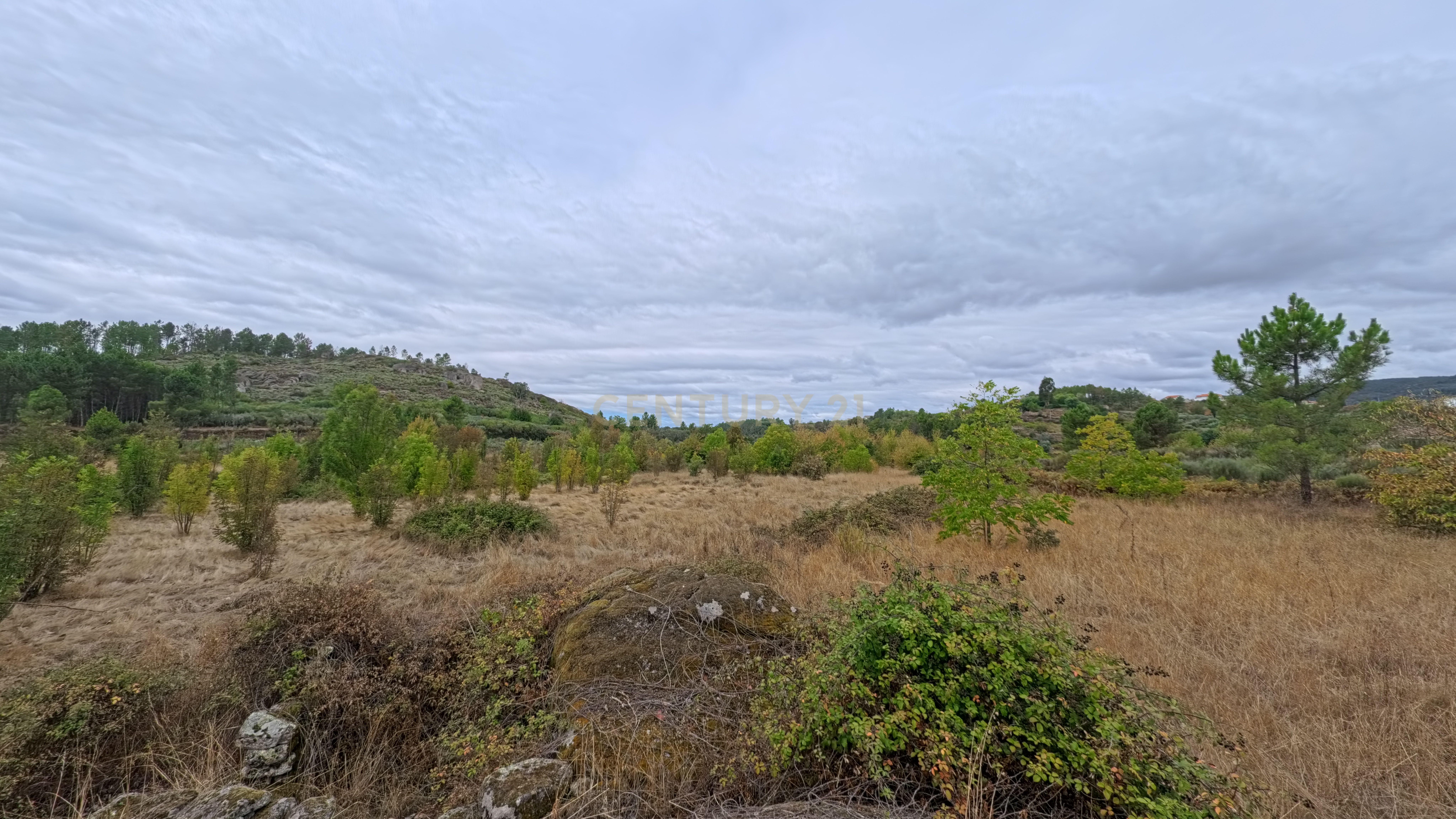 Fotografia 5 de Quinta com 37.000 m² e casa de pedra em Figueiró da Granja - Fornos de Algodres