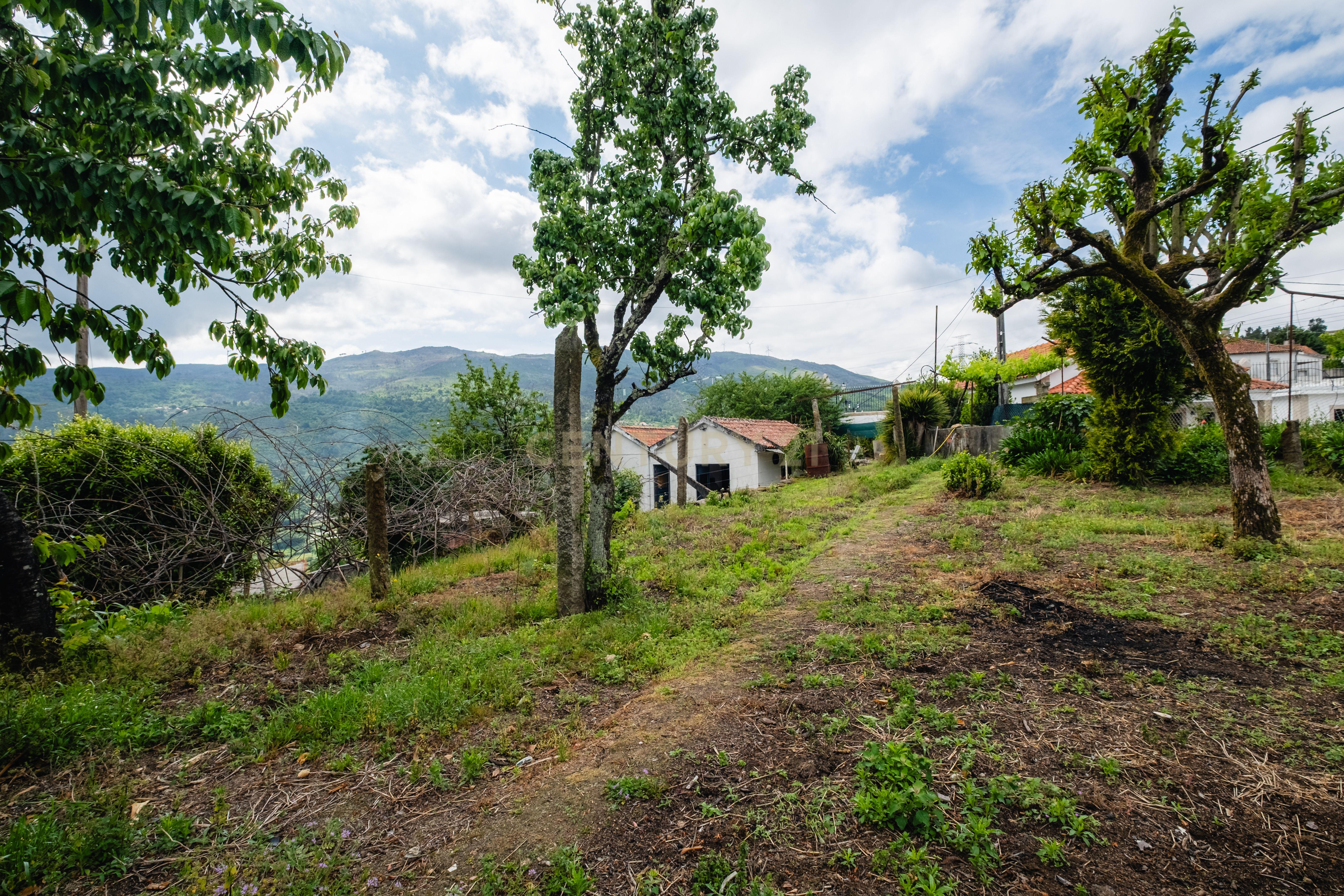 Moradia T2 à venda em Santiago de Piães, Cinfães — foto 38