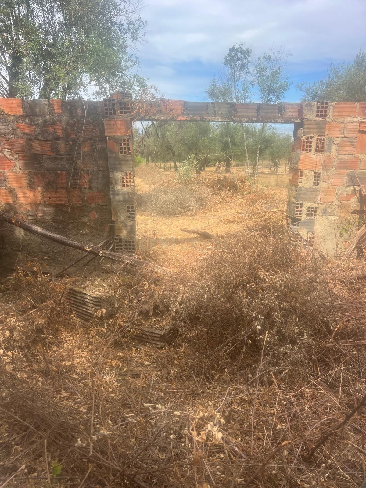 Fotografia 3 de Oportunidade Única: Terreno em Almofala, Figueiró dos Vinhos