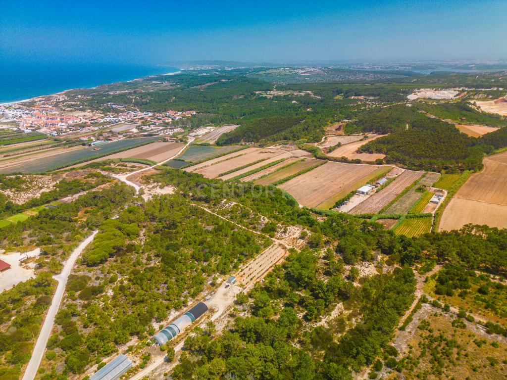 Terreno em Praia D'el Rey - Image 14