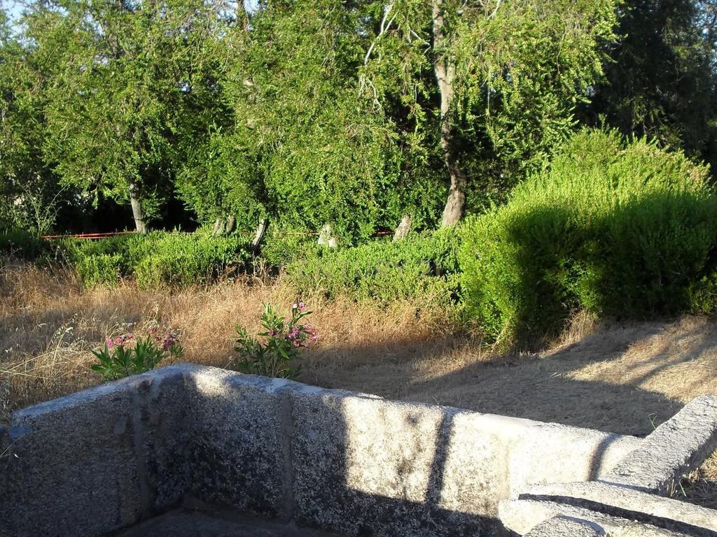 Quinta do Ervedal – 15,7 hectares de História e Beleza Natural em Castelo Novo - Image 45