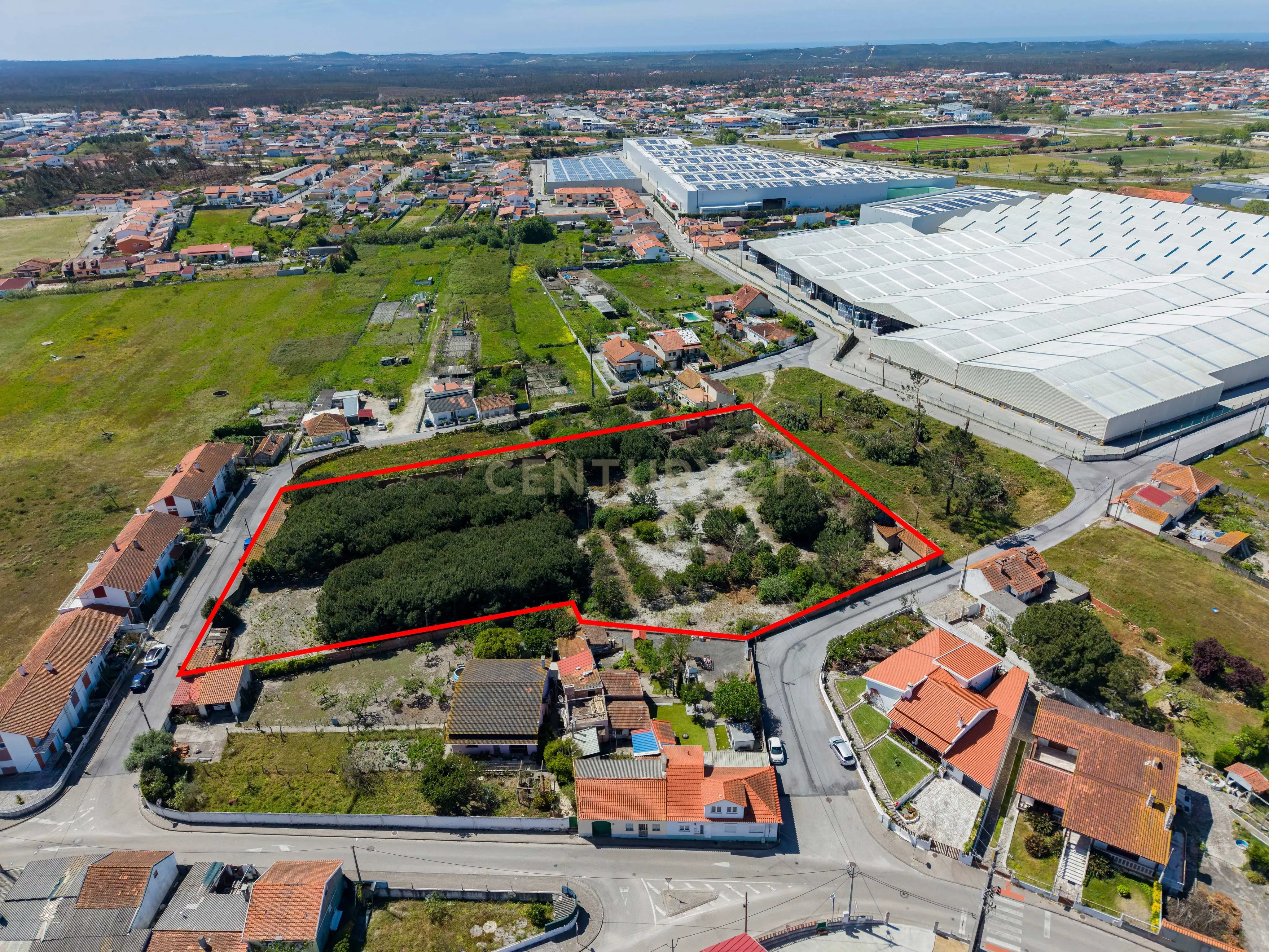 Fotografia 3 de Terreno com potencial de desenvolvimento urbanístico | 6.803 m² | Comeira – Marinha Grande