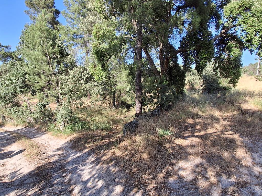 Terreno Rústico, 3800m2 em Aldeia do Bispo, Penamacor - Image 7