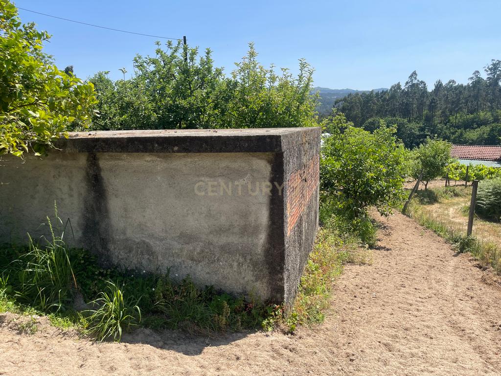 Terreno de 7.500 m² situado próximo ao lago, contendo uma casa a ser restaurada e um aviário automatizado altamente rentável. - Image 49