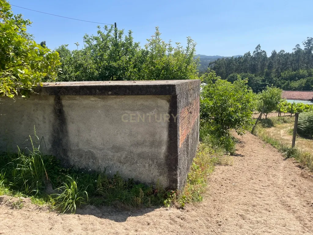 Terreno de 7.500 m² situado próximo ao lago, contendo uma casa a ser restaurada e um aviário automatizado altamente rentável. - Image 49