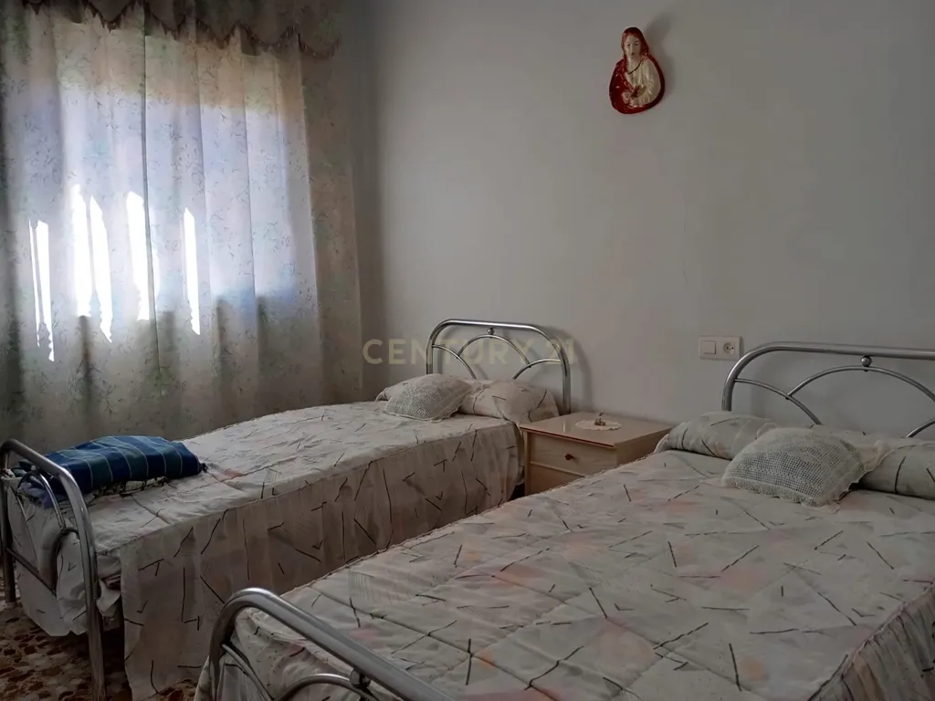 - Image 12