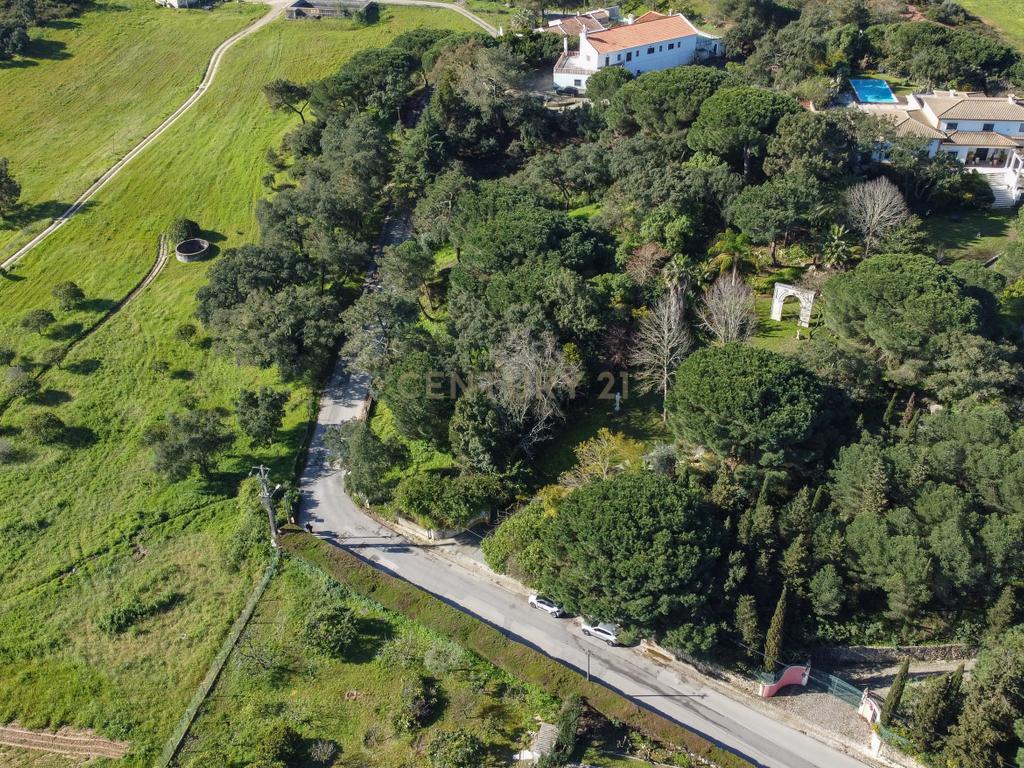 🏡 Terreno para Construção – 2.746 m² | Oportunidade Única Perto de Setúbal! 🌿 - Image 39