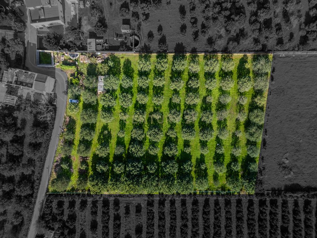 Moradia com Terrenos Rústicos na Horta da Jardina – Bela Salema, Faro - Image 27