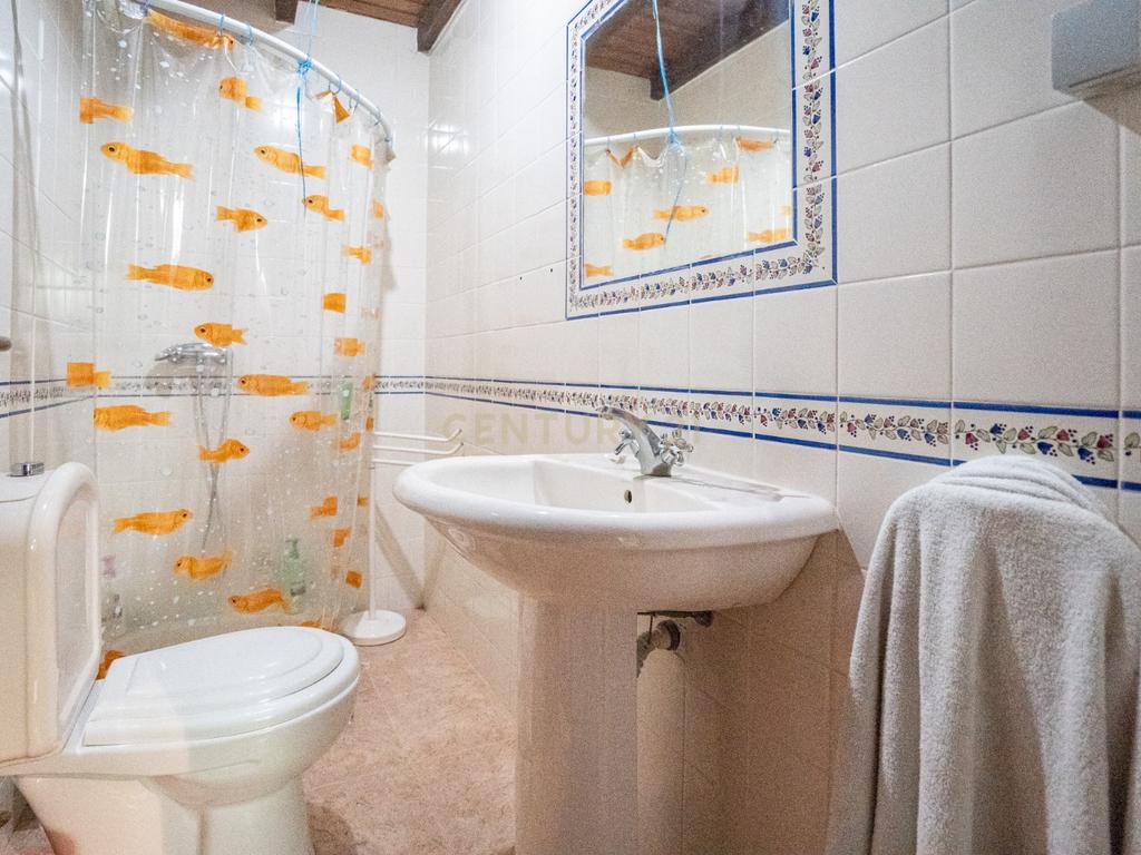 Quinta Equestre a 45 minutos de Lisboa - Image 19