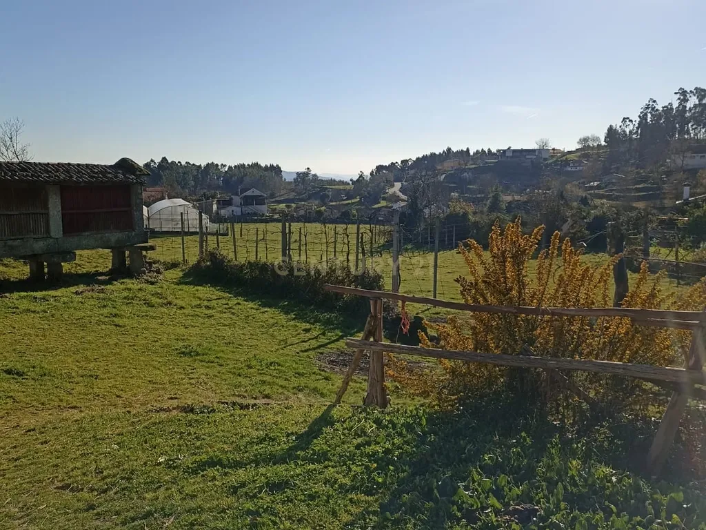 Quintinha Única com 6000m² de Terreno Construtivo – Serzedelo, Póvoa de Lanhoso - Image 5