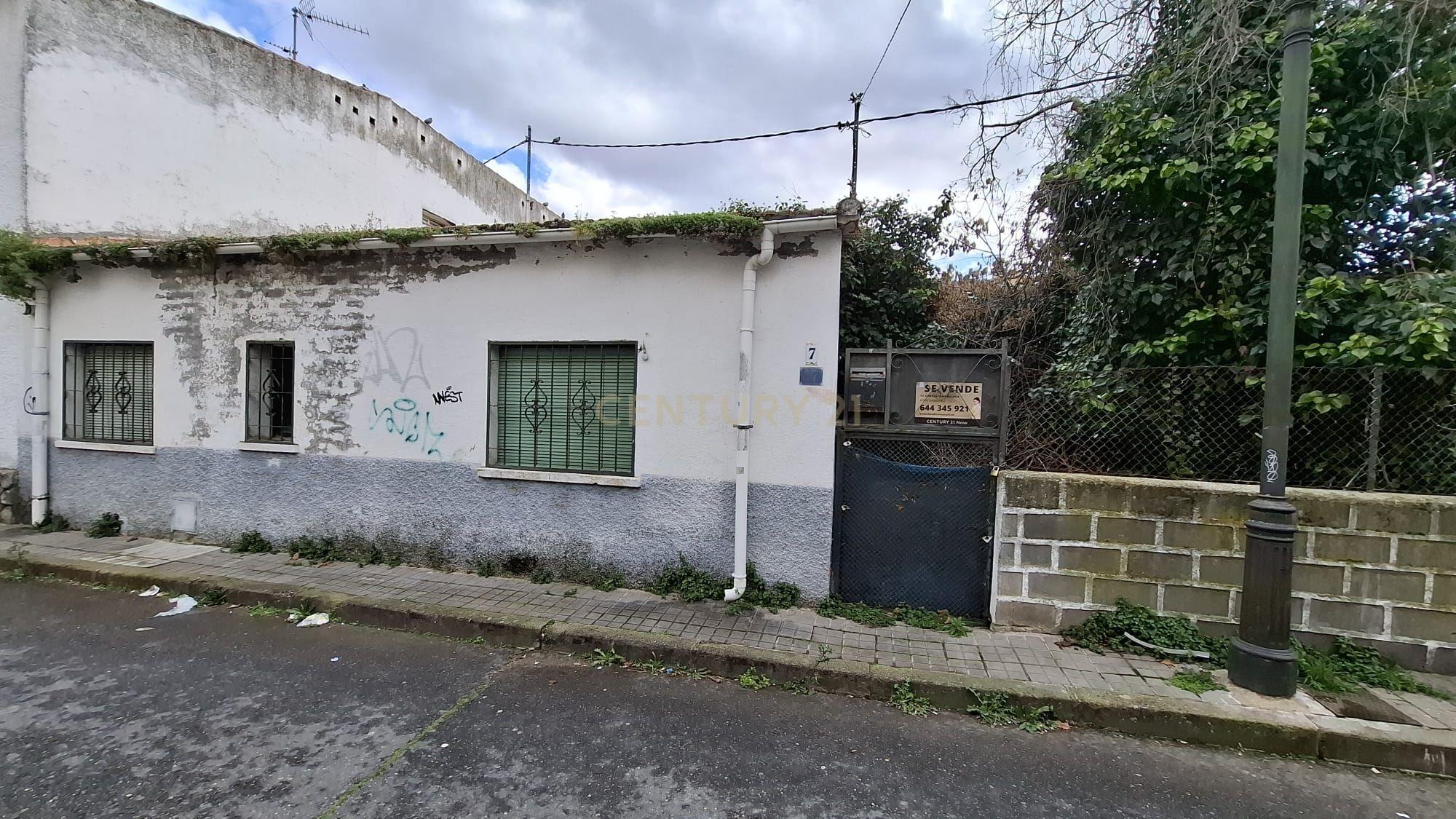 Terreno - Image 11