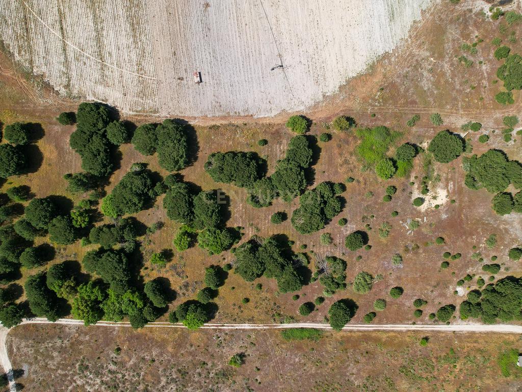 Terreno Rústico c/ 22.500m2 - Sto Isidro de Pegões - Montijo - Image 11