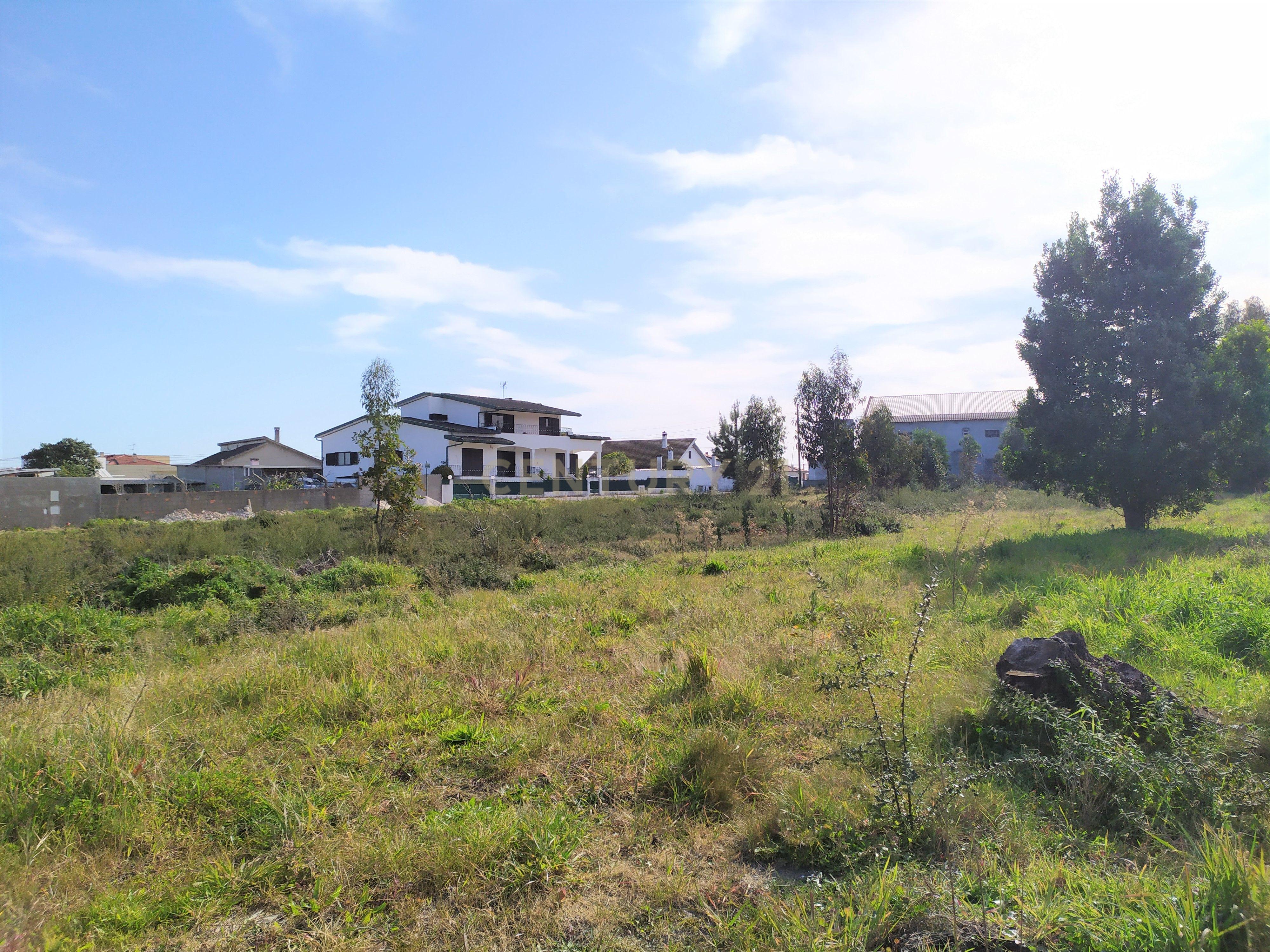 Terreno | Viabilidade Construção| Marinha Grande - Image 9