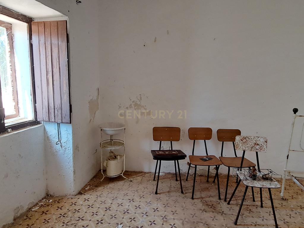 Quinta com moradia para reabilitação - Image 5