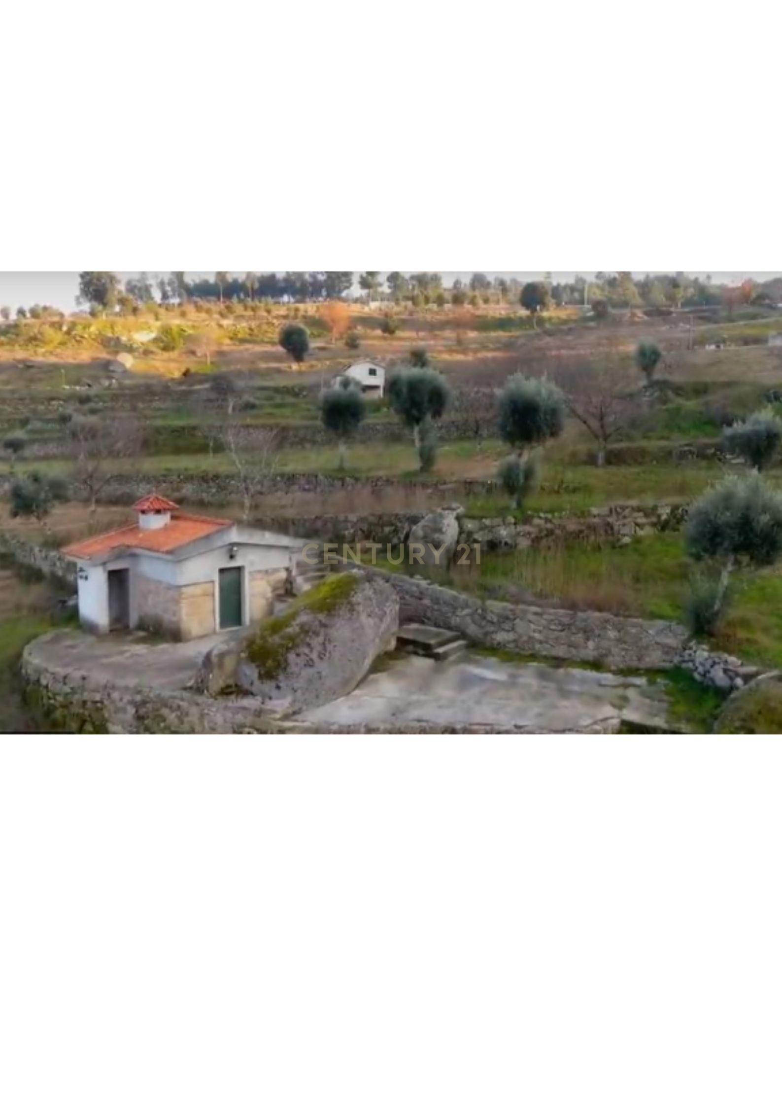 Quinta no Douro com Vistas Rio - Image 10