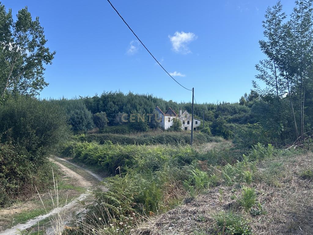 Quinta com Ruína - Oportunidade de Negócio - Image 5