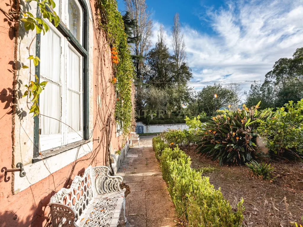 Quinta das Baldrucas - Image 7