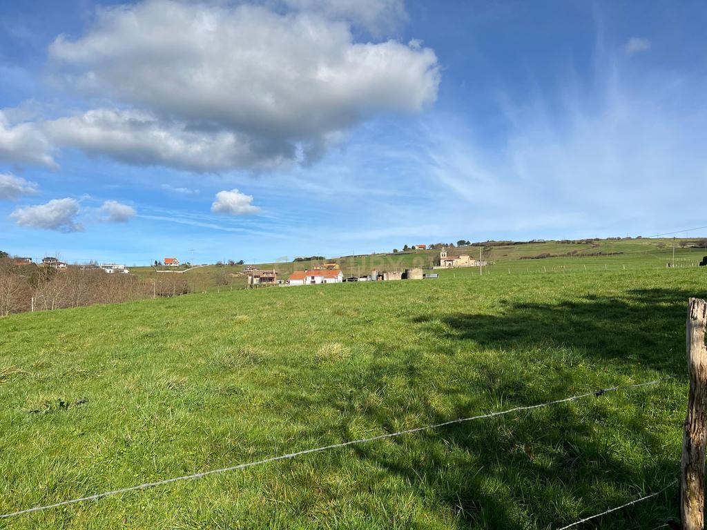 undefined - Image 6