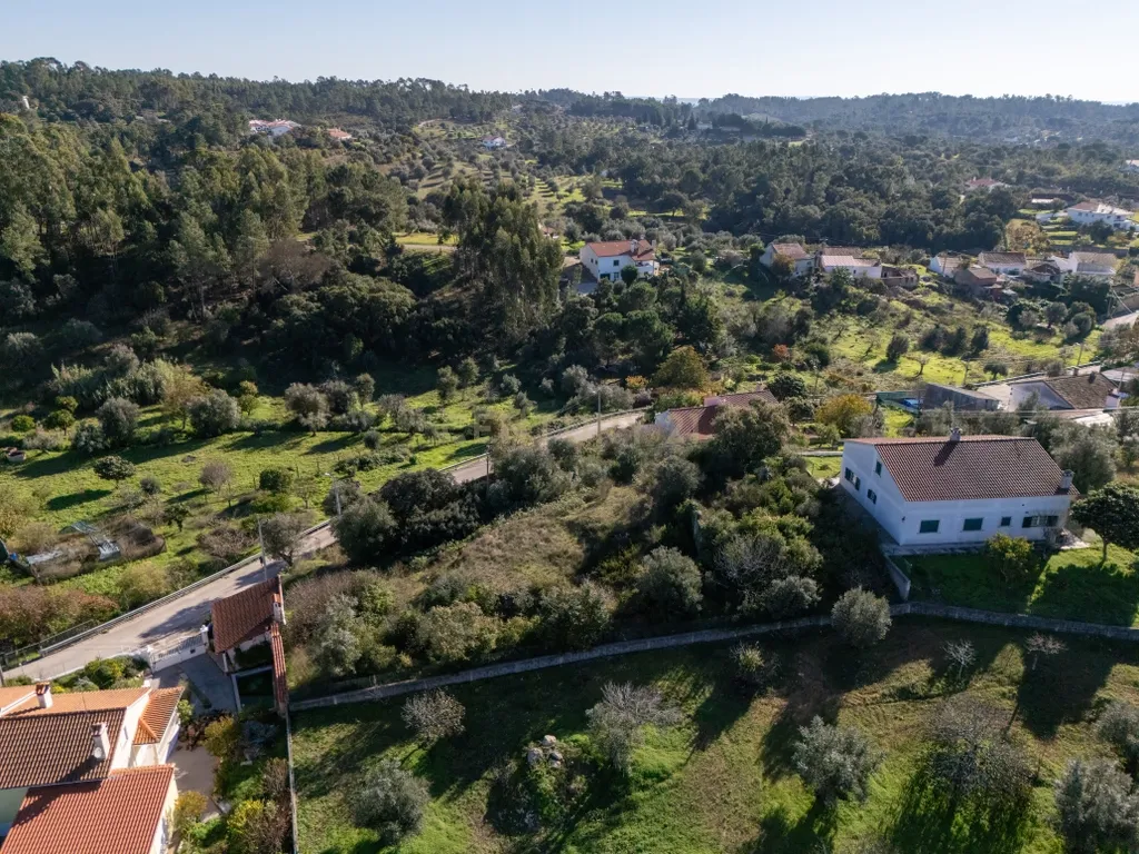 Terreno Urbano com Ruínas e Árvores de Fruto - 2.280m² - Longra, Tomar - Image 12