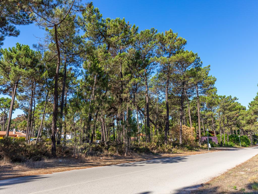 Terreno para Moradia de Luxo com Piscina e Jardim na Herdade da Aroreira - Image 17