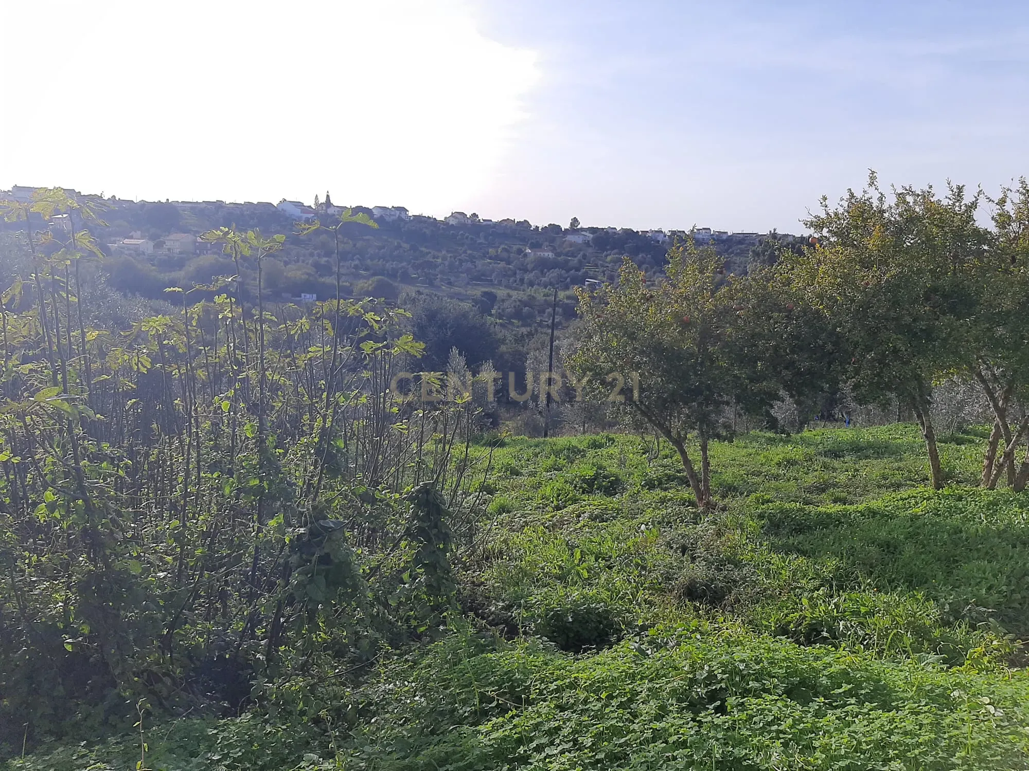 Moradia T4 à venda em Carvalhal, Abrantes — foto 6