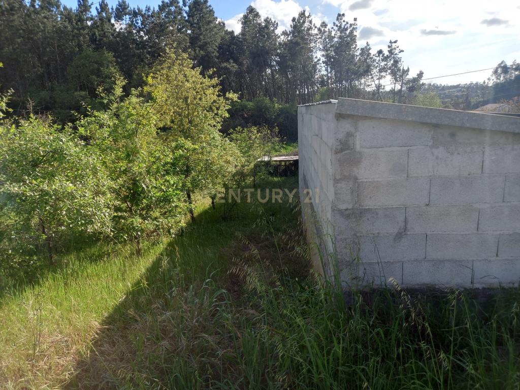Terreno com 800 m2 em Barbas Novas - Image 11