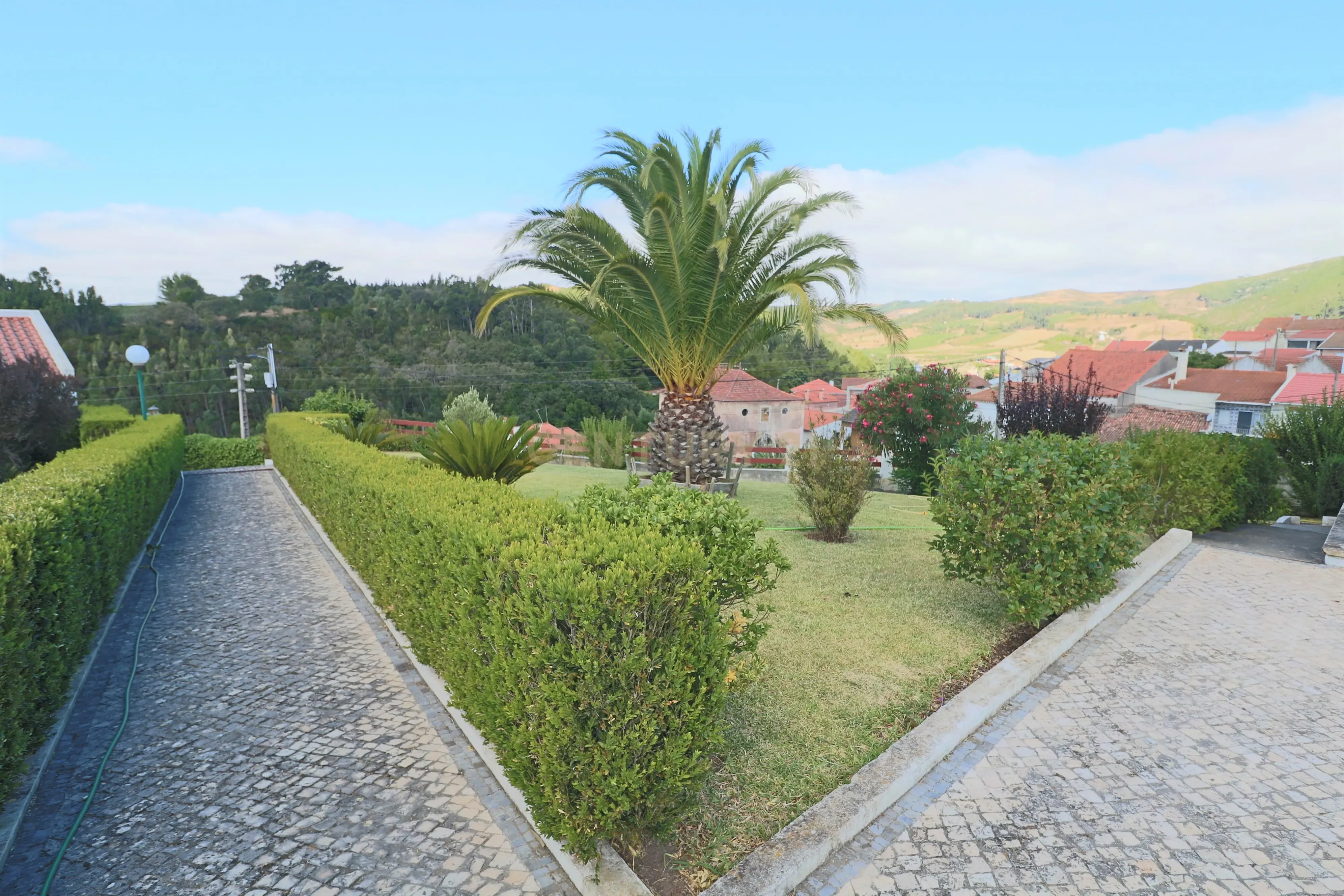 Fantástica Quintinha com 3 Casas de Habitação - Image 6