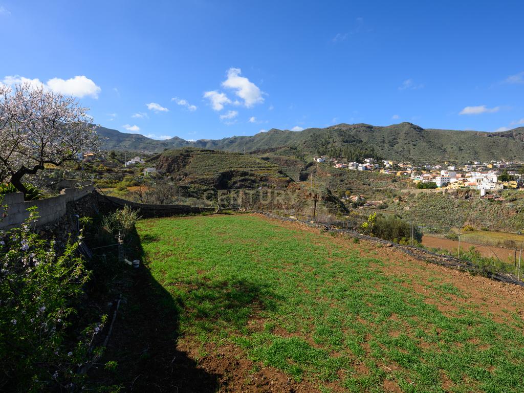  - Image 47