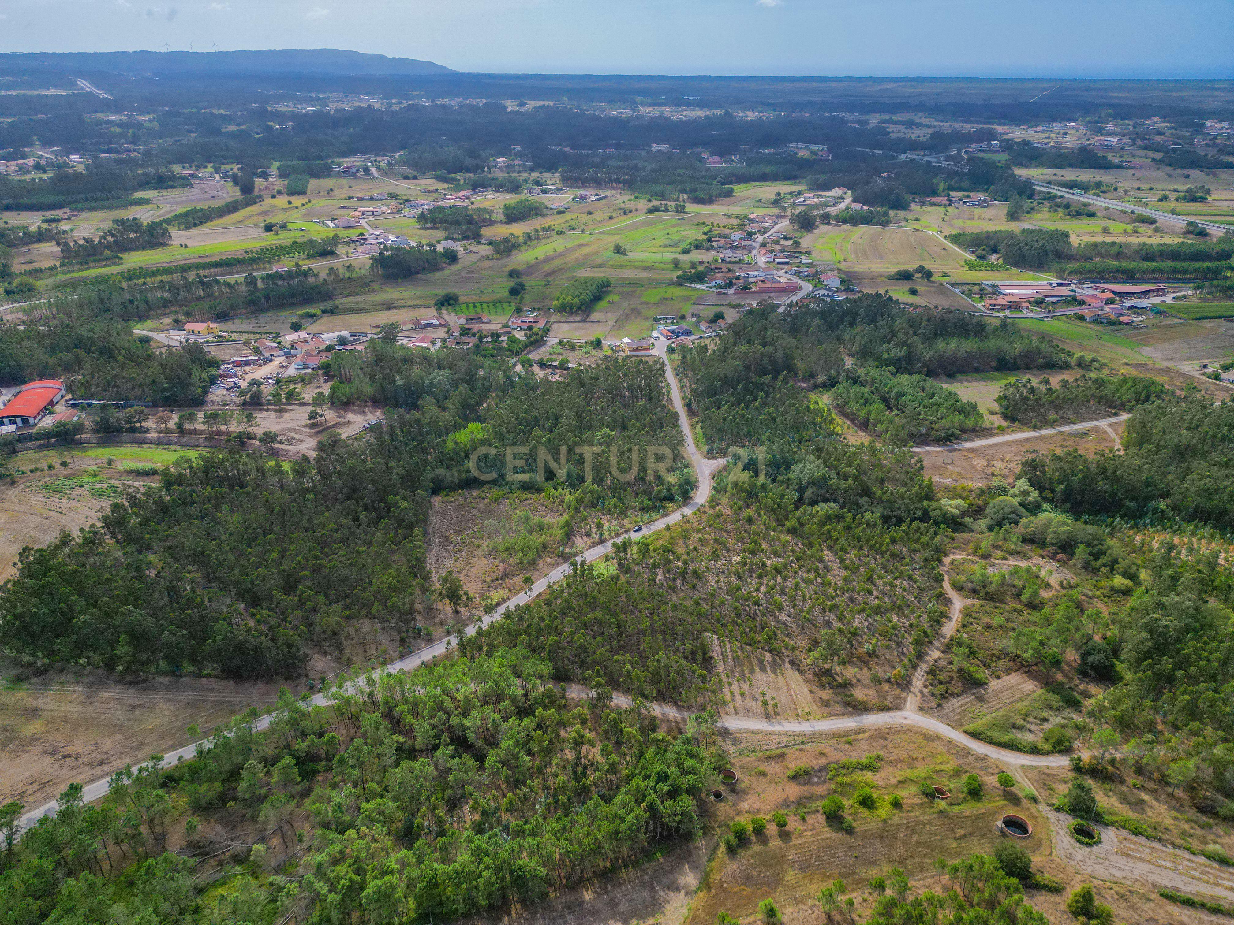 Fotografia 6 de Terreno rústico com cerca de 3.930,00 m² para venda em Lafrana de Cima – Figueira da Foz