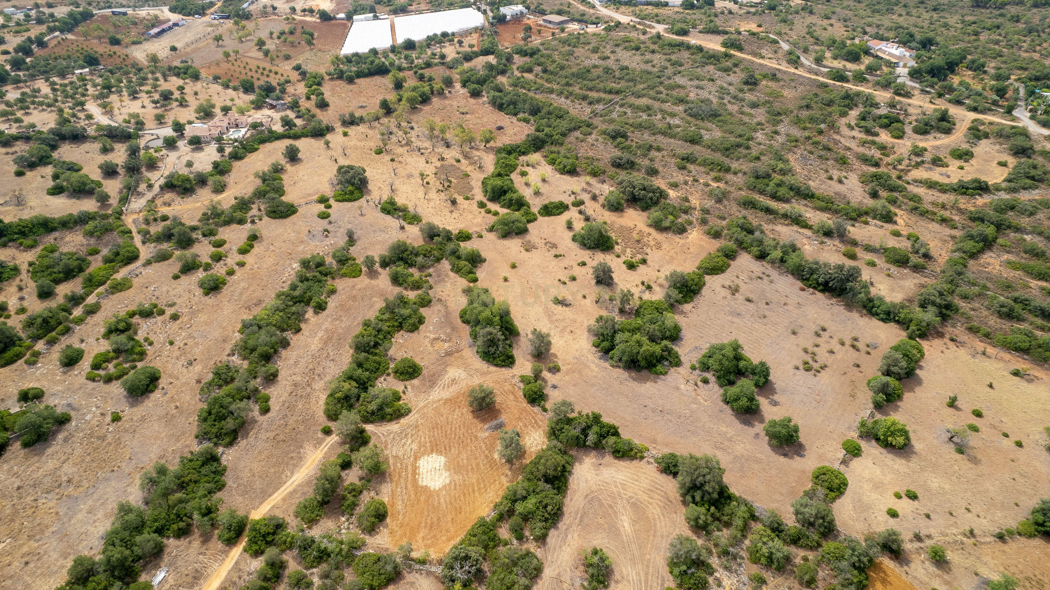 Fotografia 10 de Terreno Rústico de 7.580 m² entre Pechão e Estoi