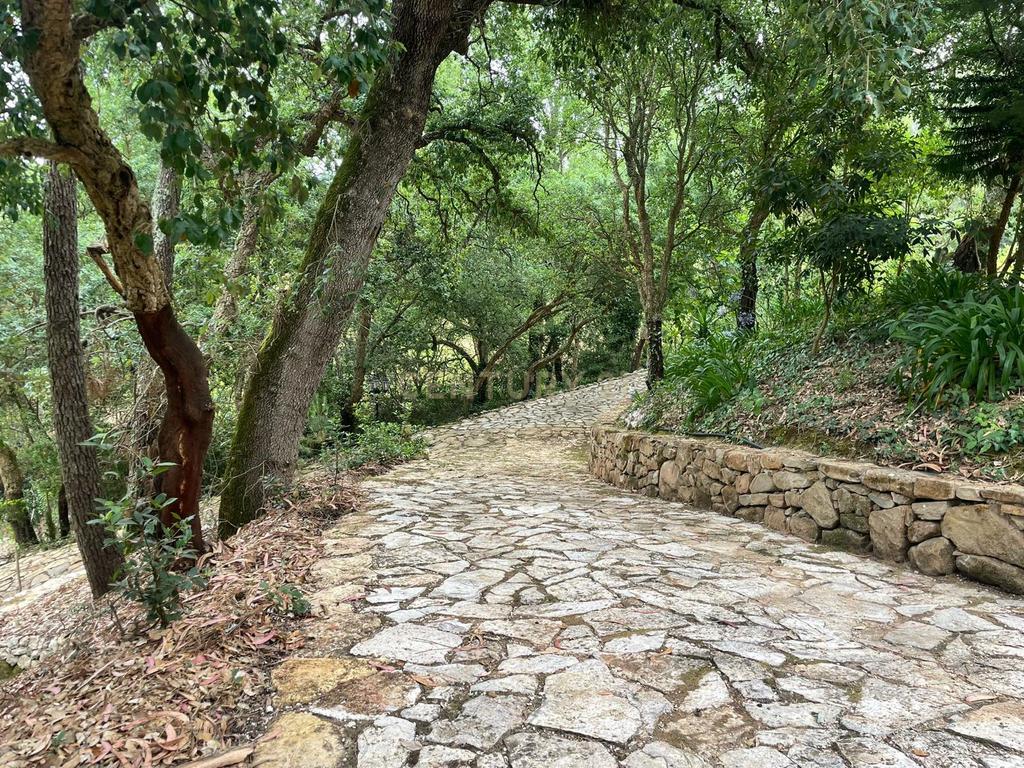 Quinta de Charme - Refúgio de Sonho no Coração do Bombarral - Image 37