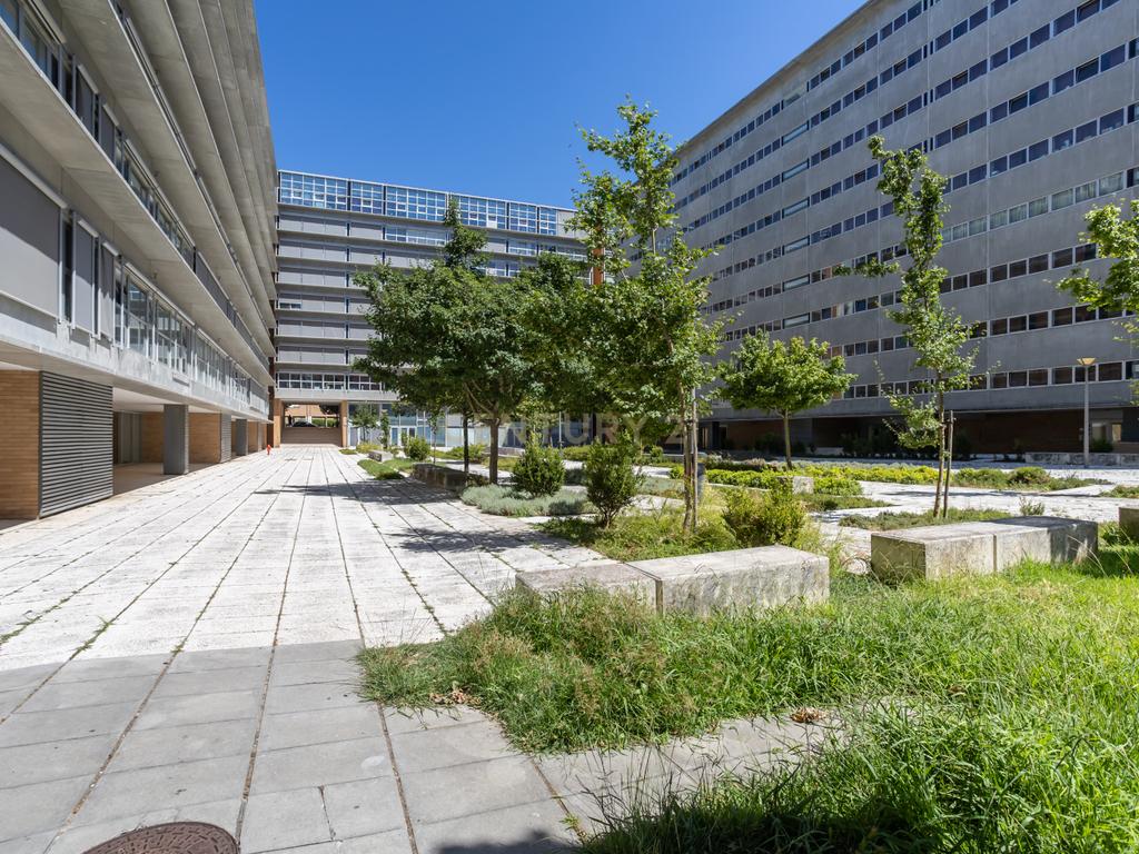 Viva com Tranquilidade em Lisboa a 150m do Parque Oeste – T1 Lumiar com Parqueamento e Arrecadação  - Image 2