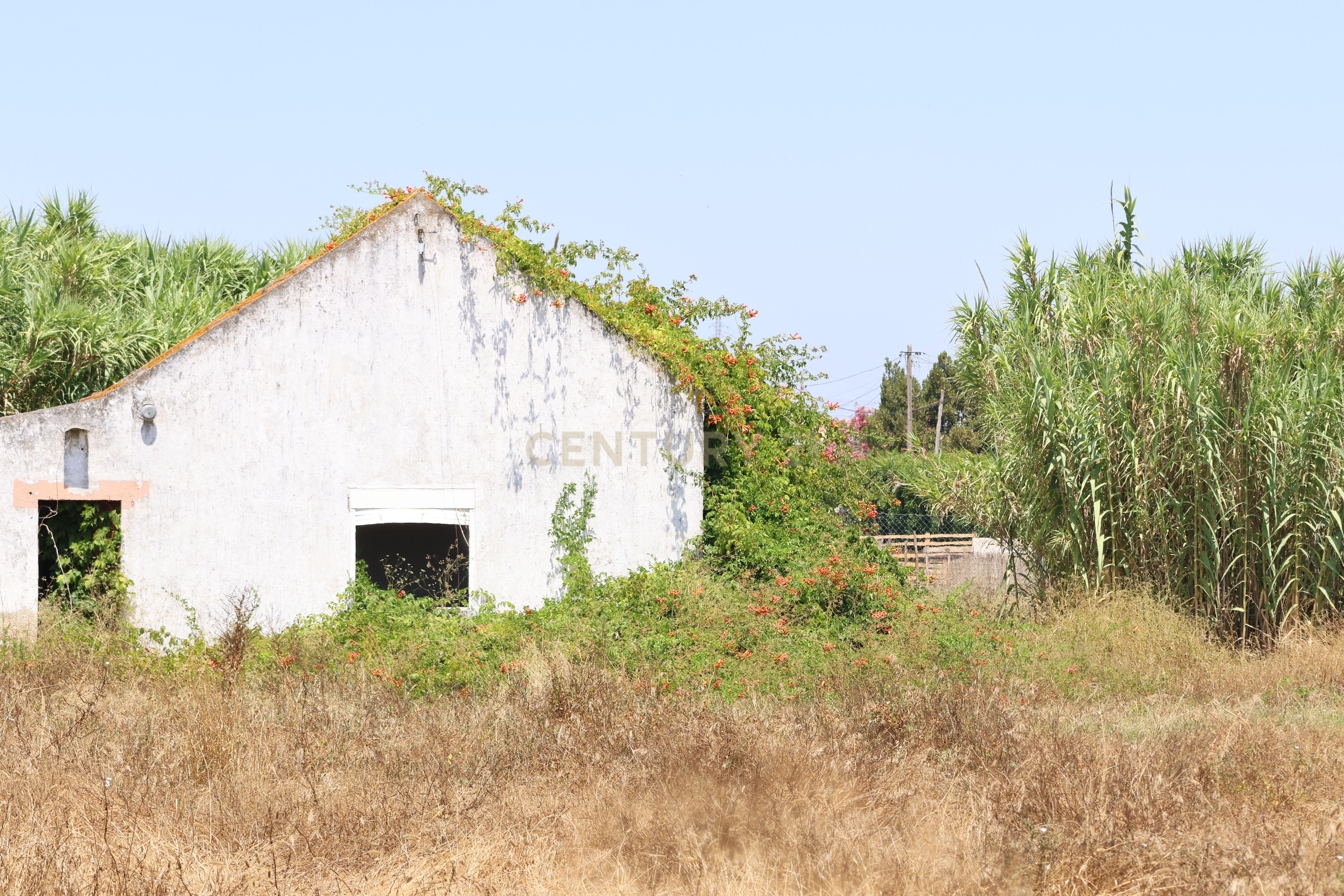 Fotografia 6 de Terreno com casa para recuperação