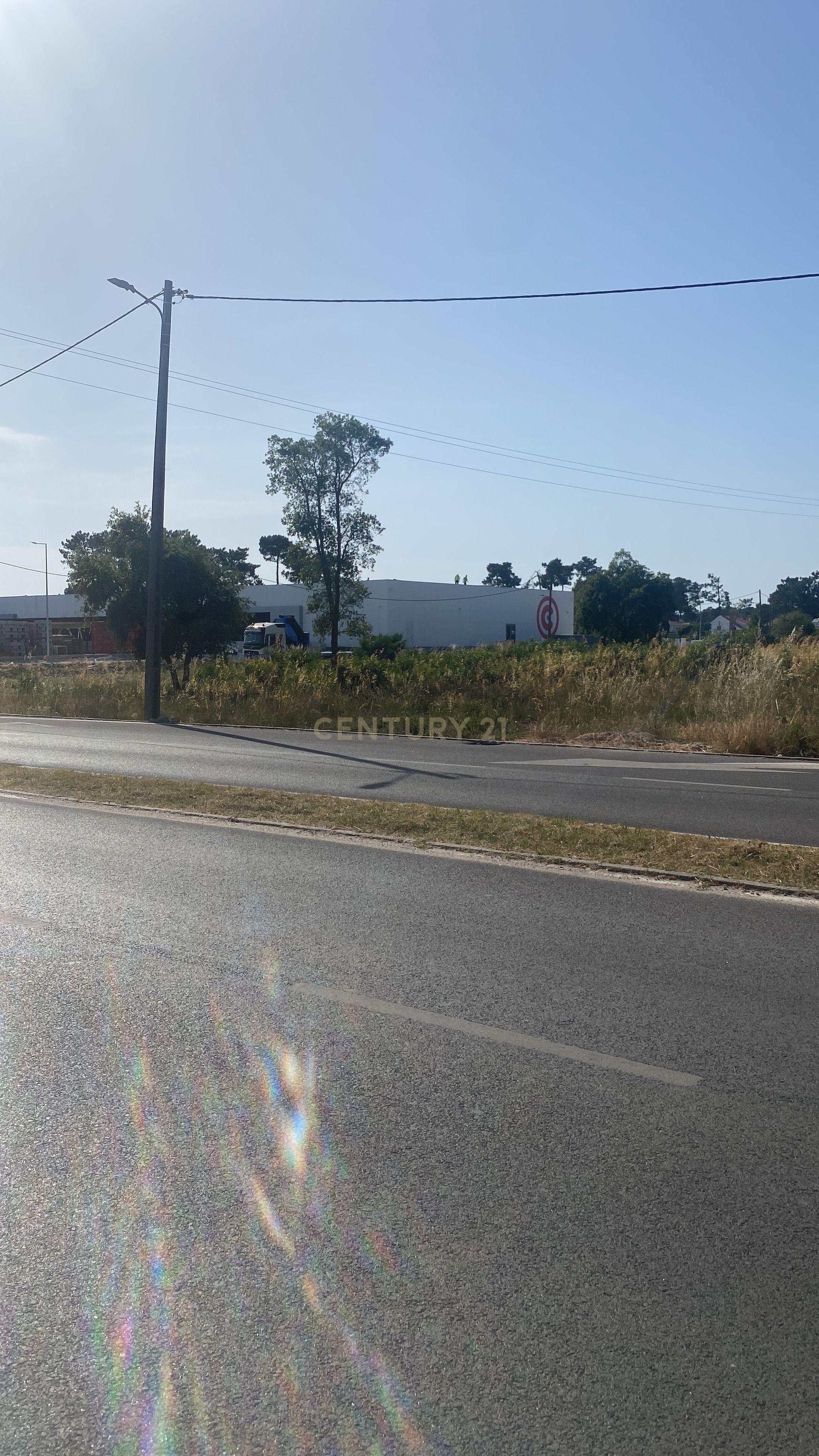 Fotografia 6 de Oportunidade: Terreno 5000 m2 avenida do mar - Verdizela
